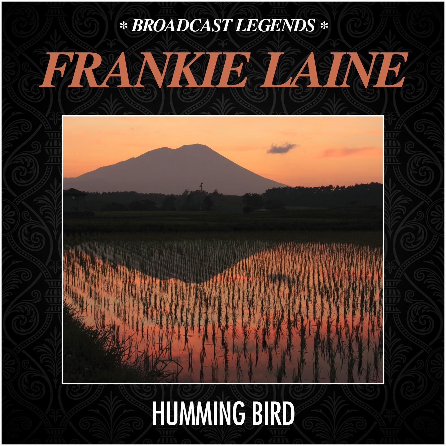 Постер альбома Humming Bird