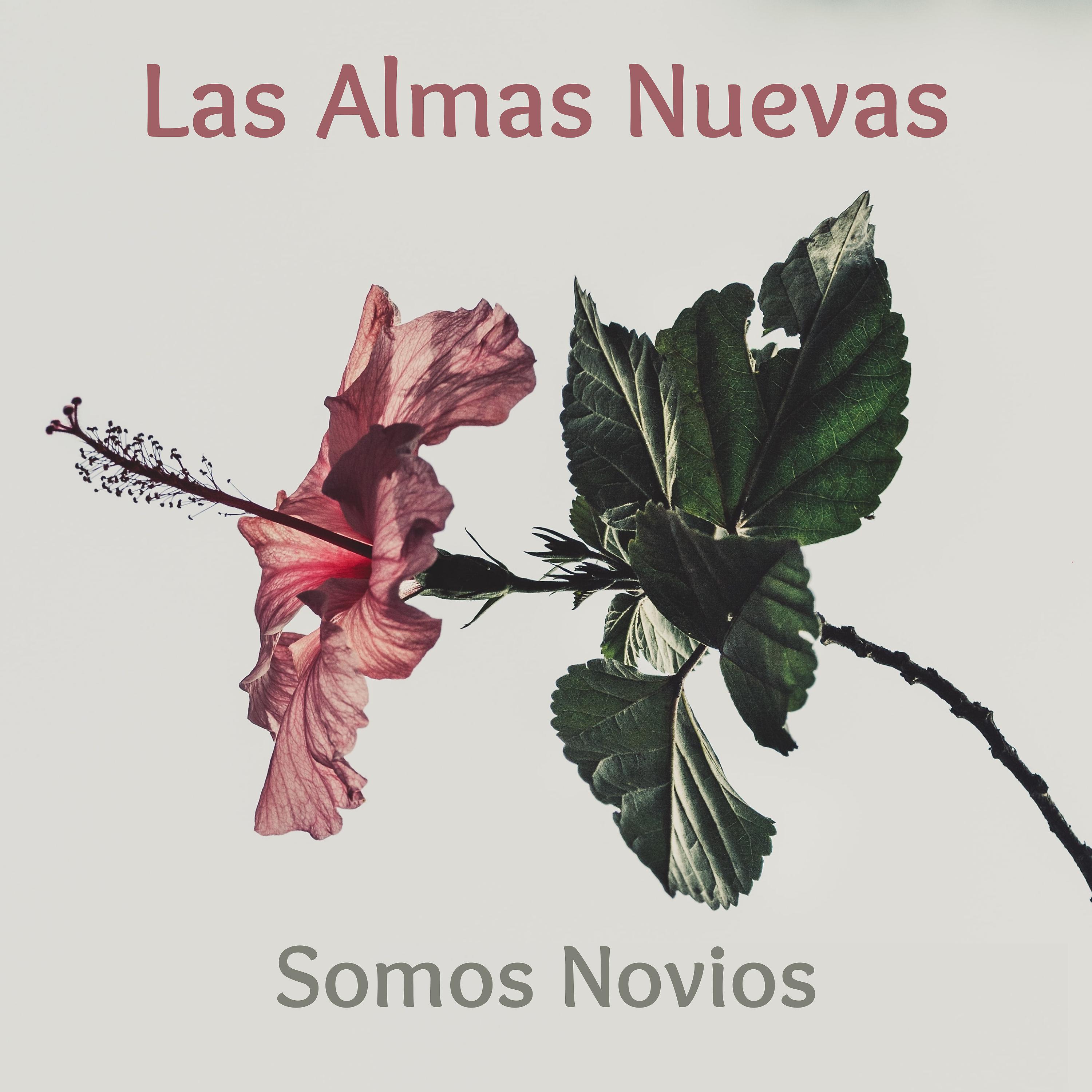Постер альбома Somos Novios