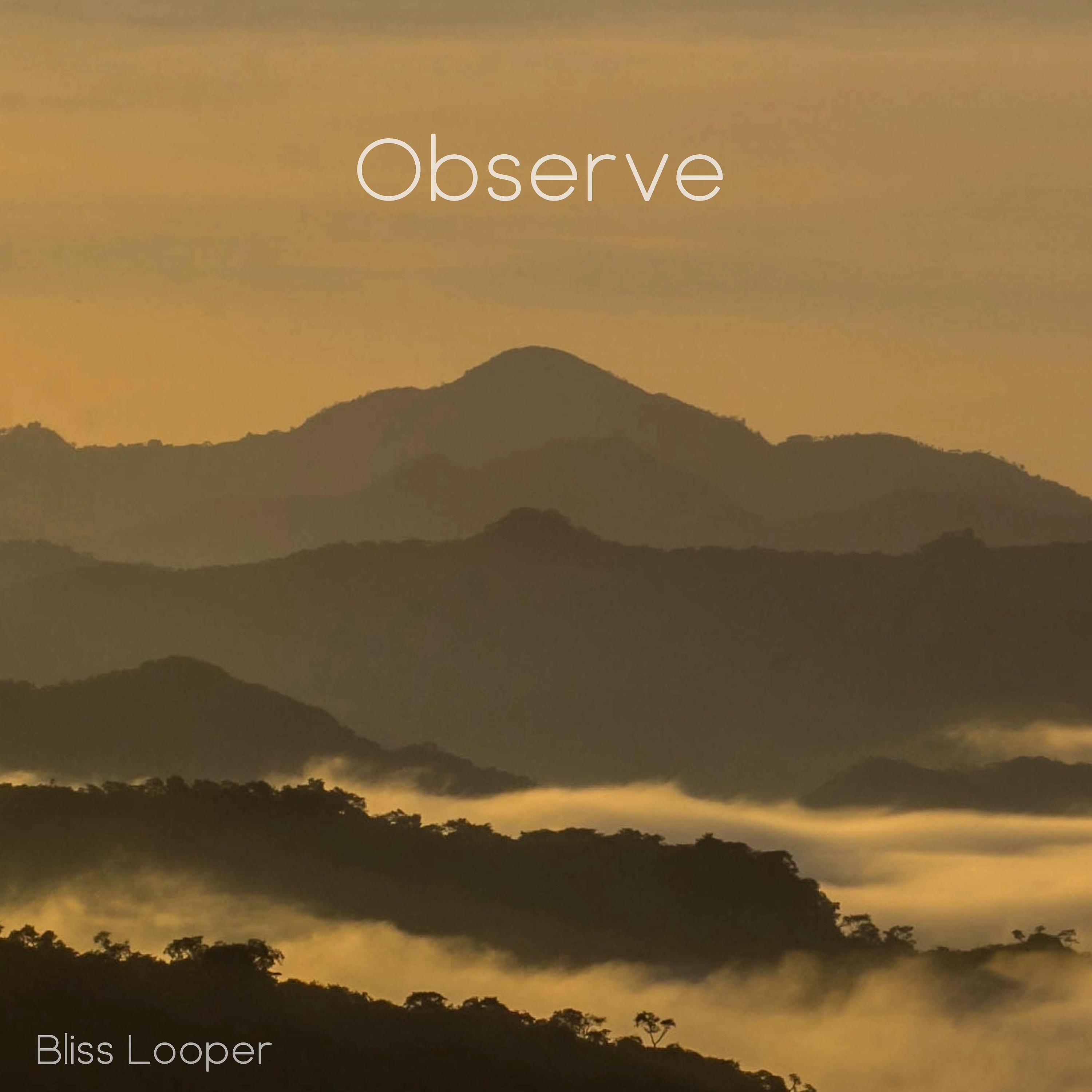 Постер альбома Observe