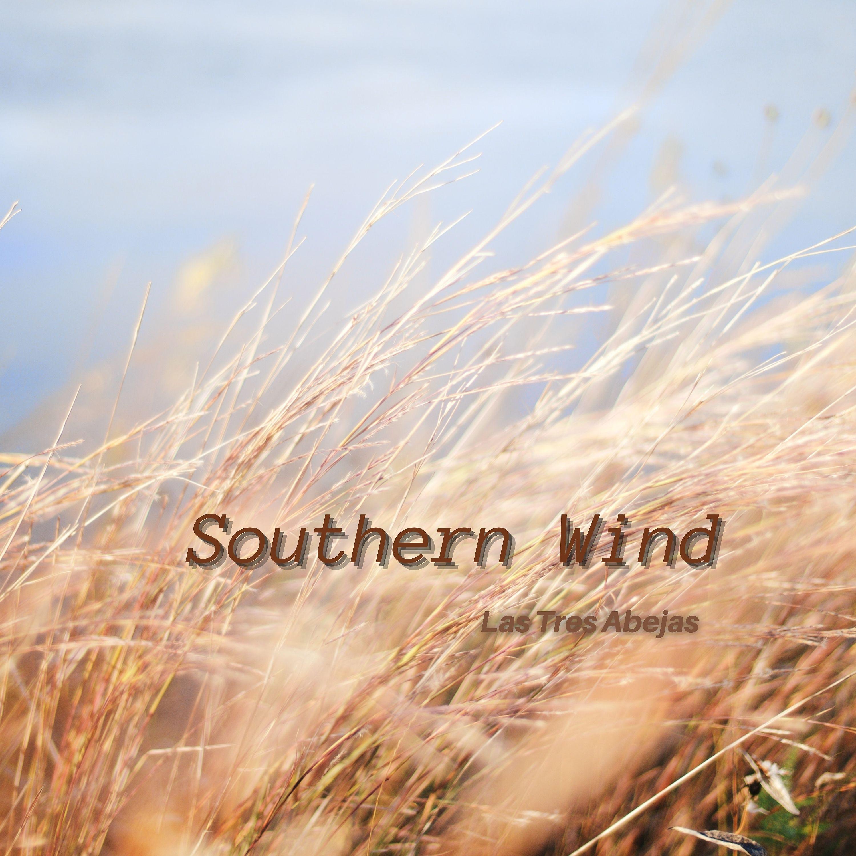 Постер альбома Southern Wind