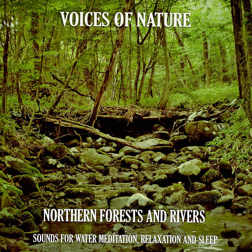 Voices of Nature - Northern Forests and Rivers : Blizzard by the Brook