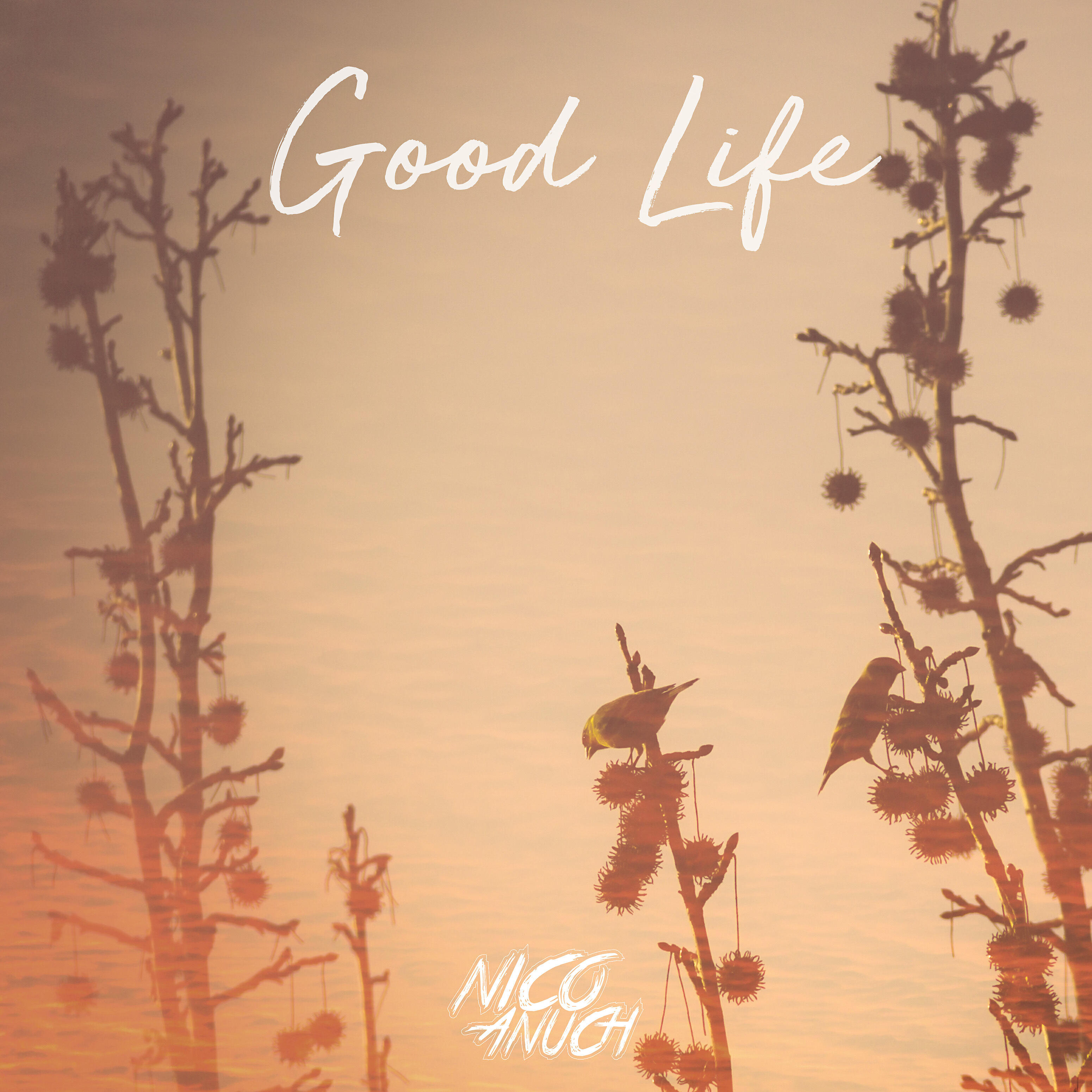 Nico Anuch - Good Life