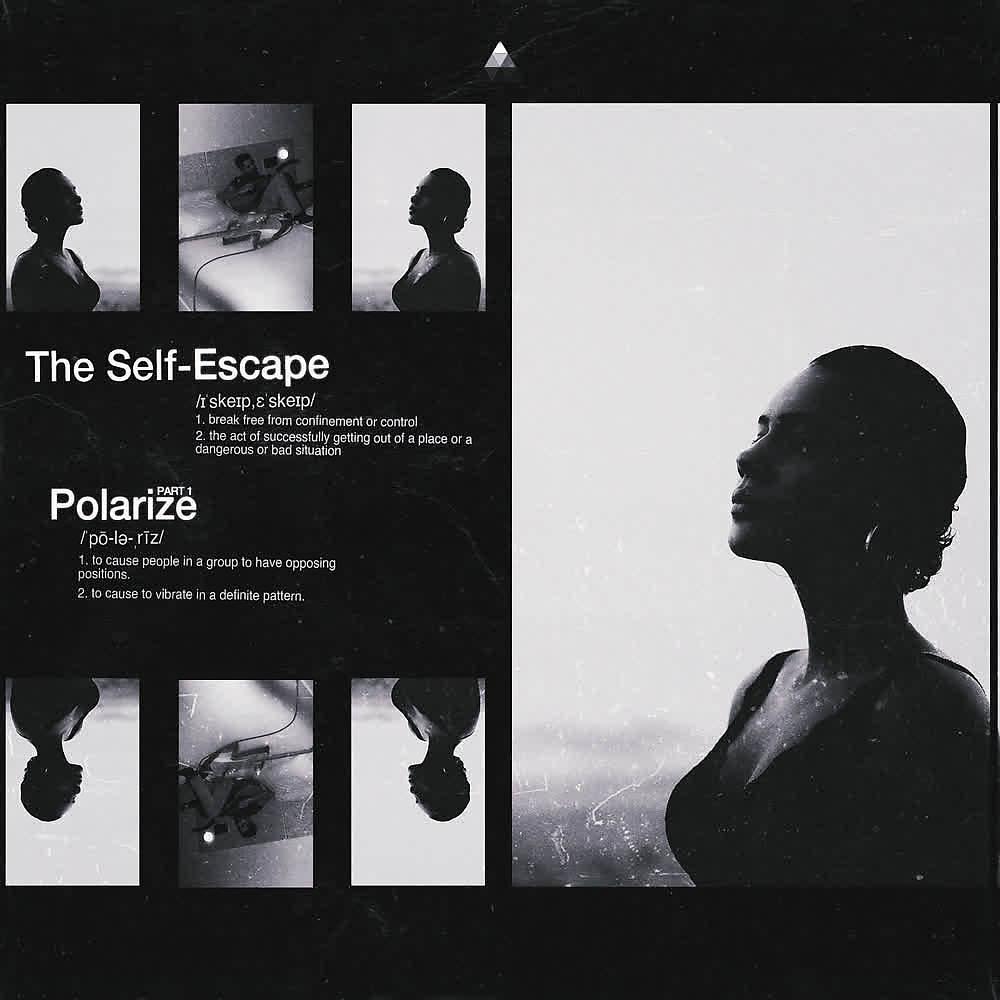 Постер альбома Polarize (Pt. 1)