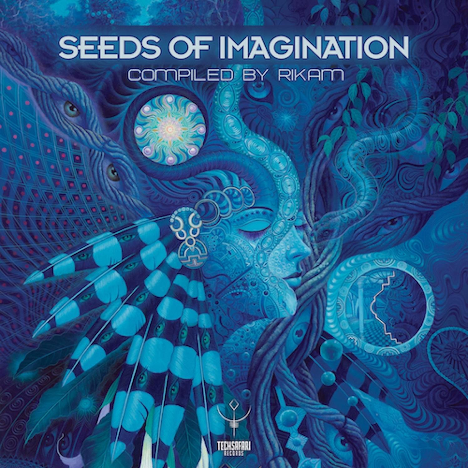 Постер альбома Seeds of Imagination - Compiled by Rikam