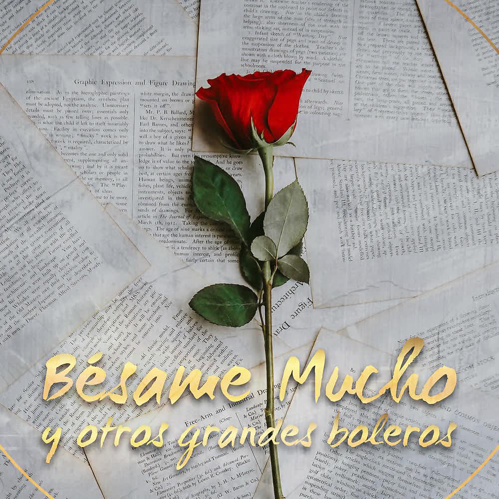 Постер альбома Bésame Mucho y Otros Grandes Boleros
