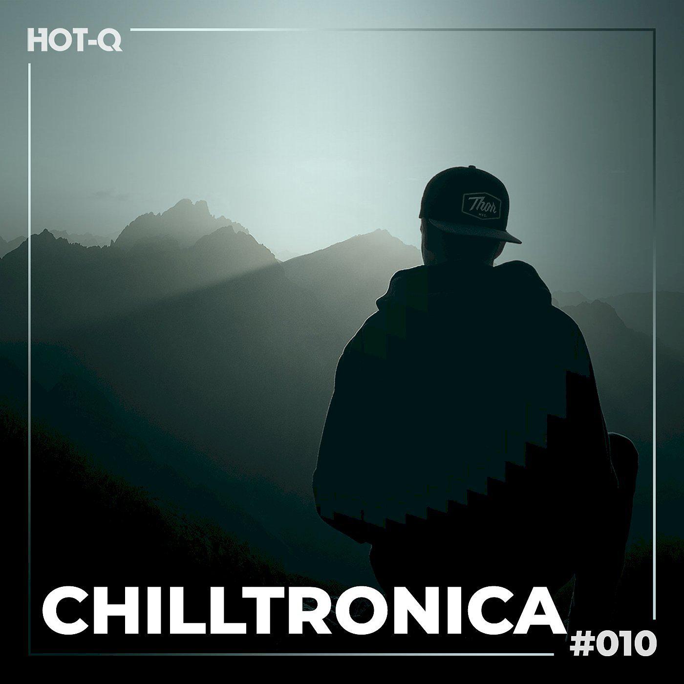 Постер альбома Chilltronica 010