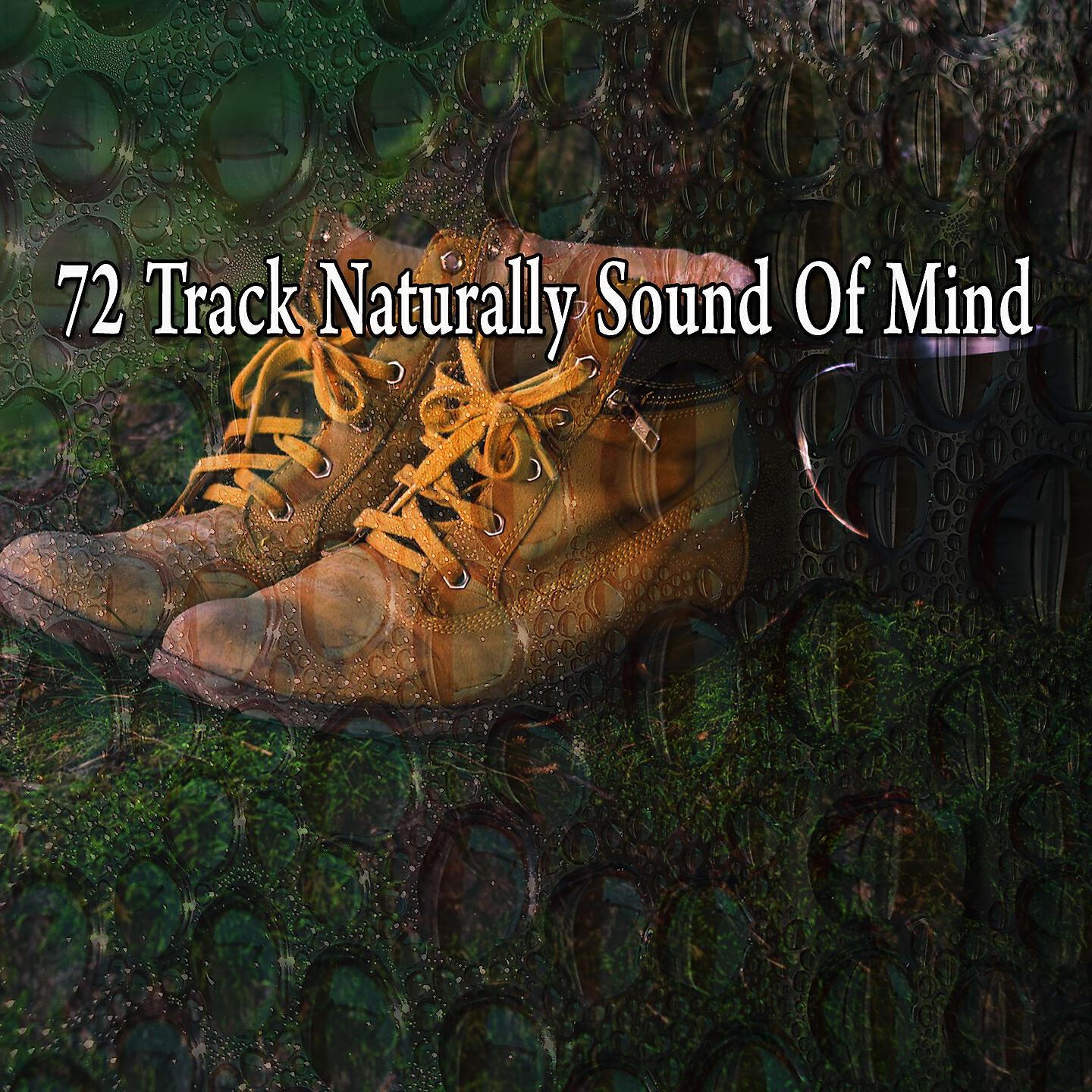Brain Study Music Guys - Heavenly Recovery