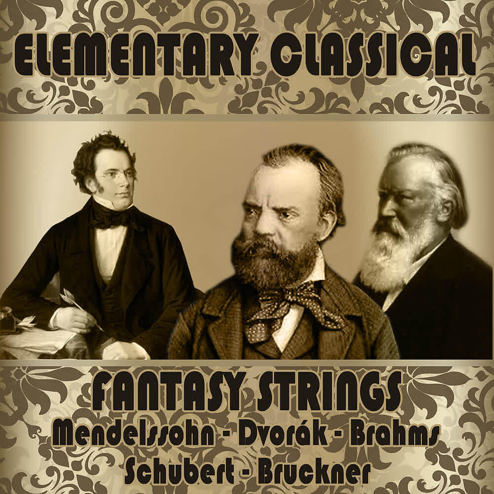 Hamburg Radio Symphony Orchestra - Serenade for String in E Major, Op. 22: V. Final: Allegro Vivace