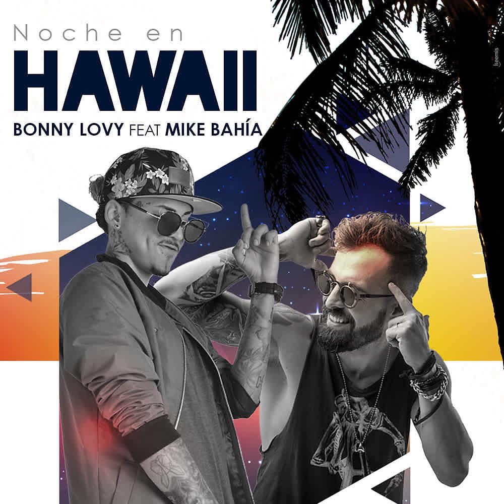 Постер альбома Noche en Hawaii