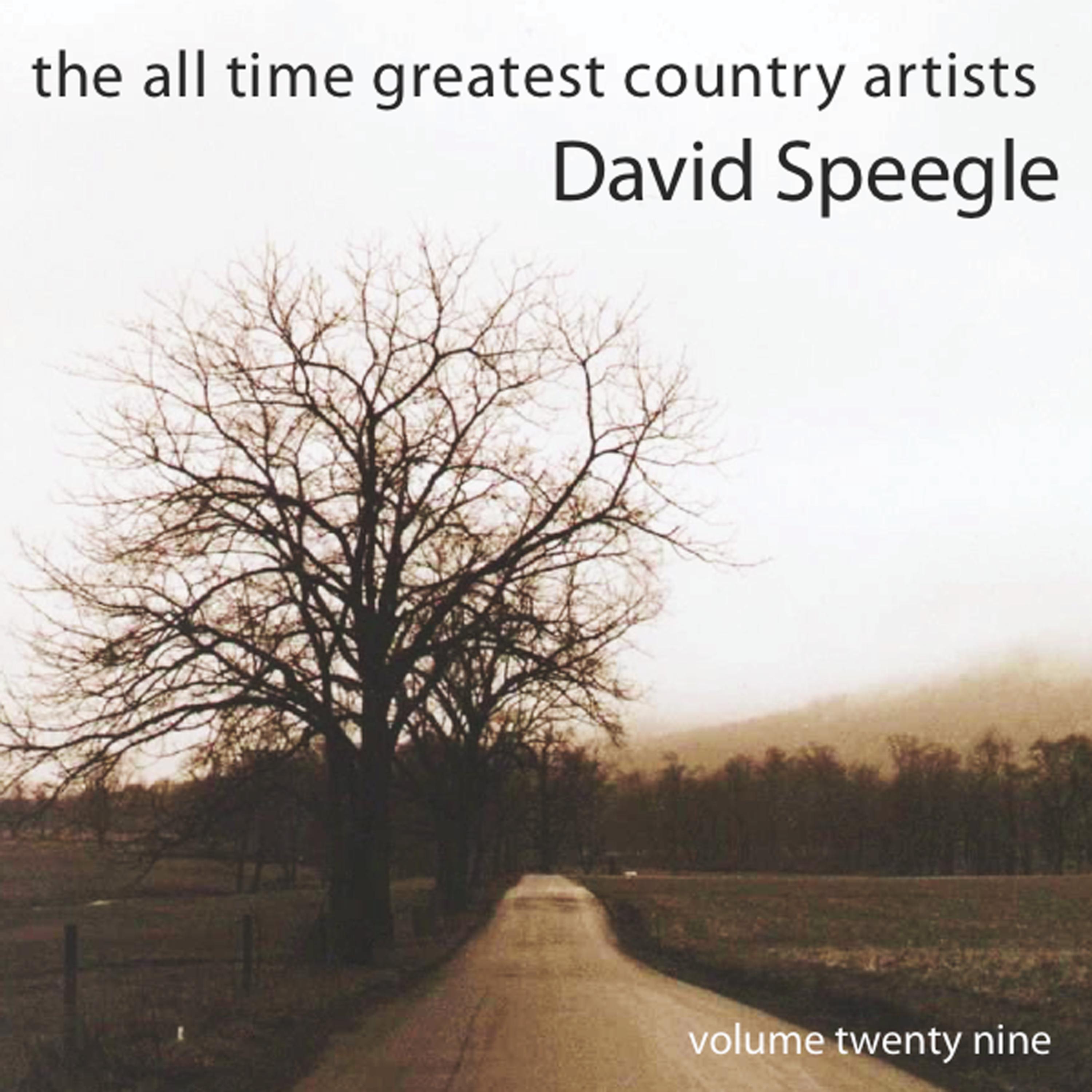 Постер альбома All Time greatest Country Artists-David Speegle-Vol. 29