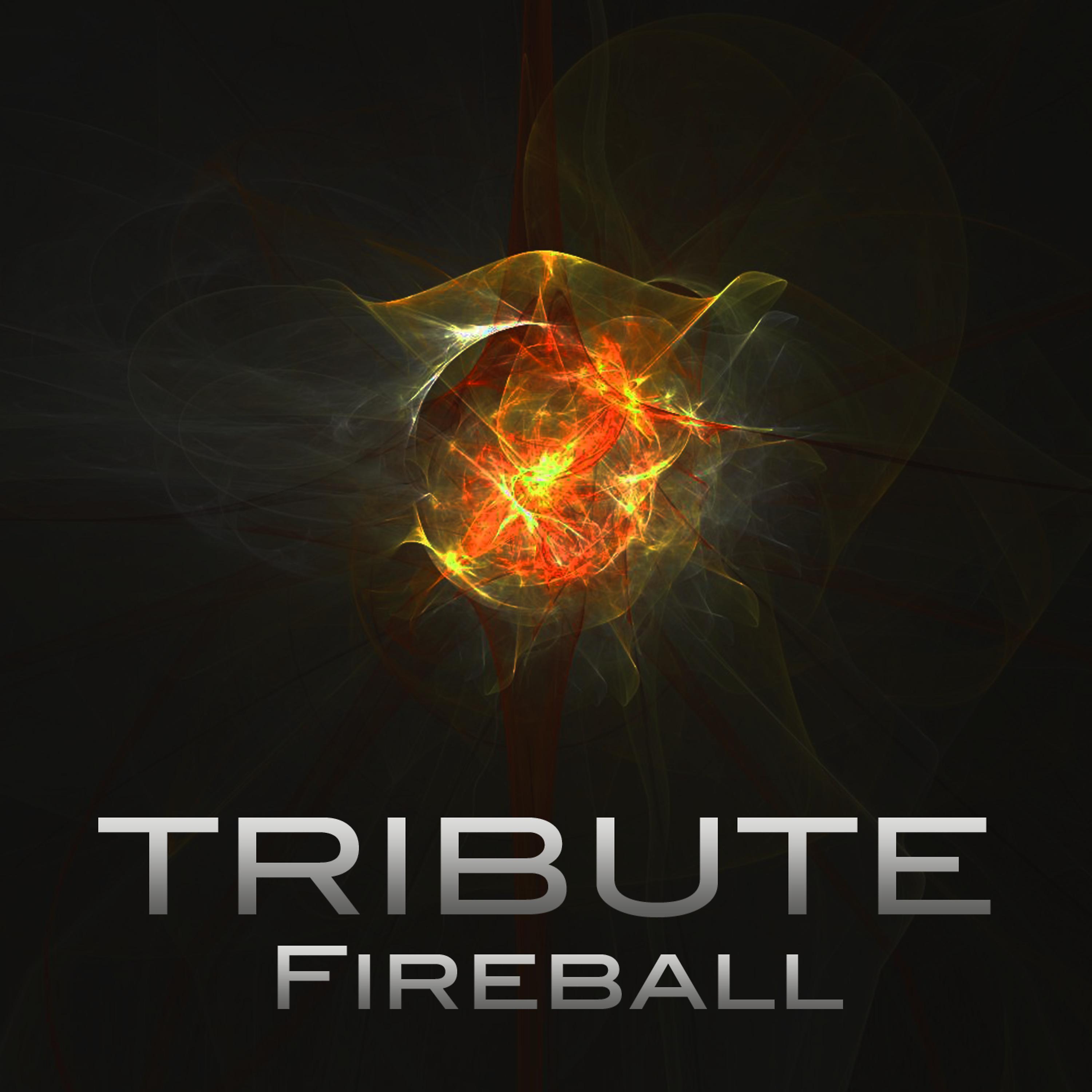 Постер альбома Fireball (Willow feat. Nicki Minaj Tribute)