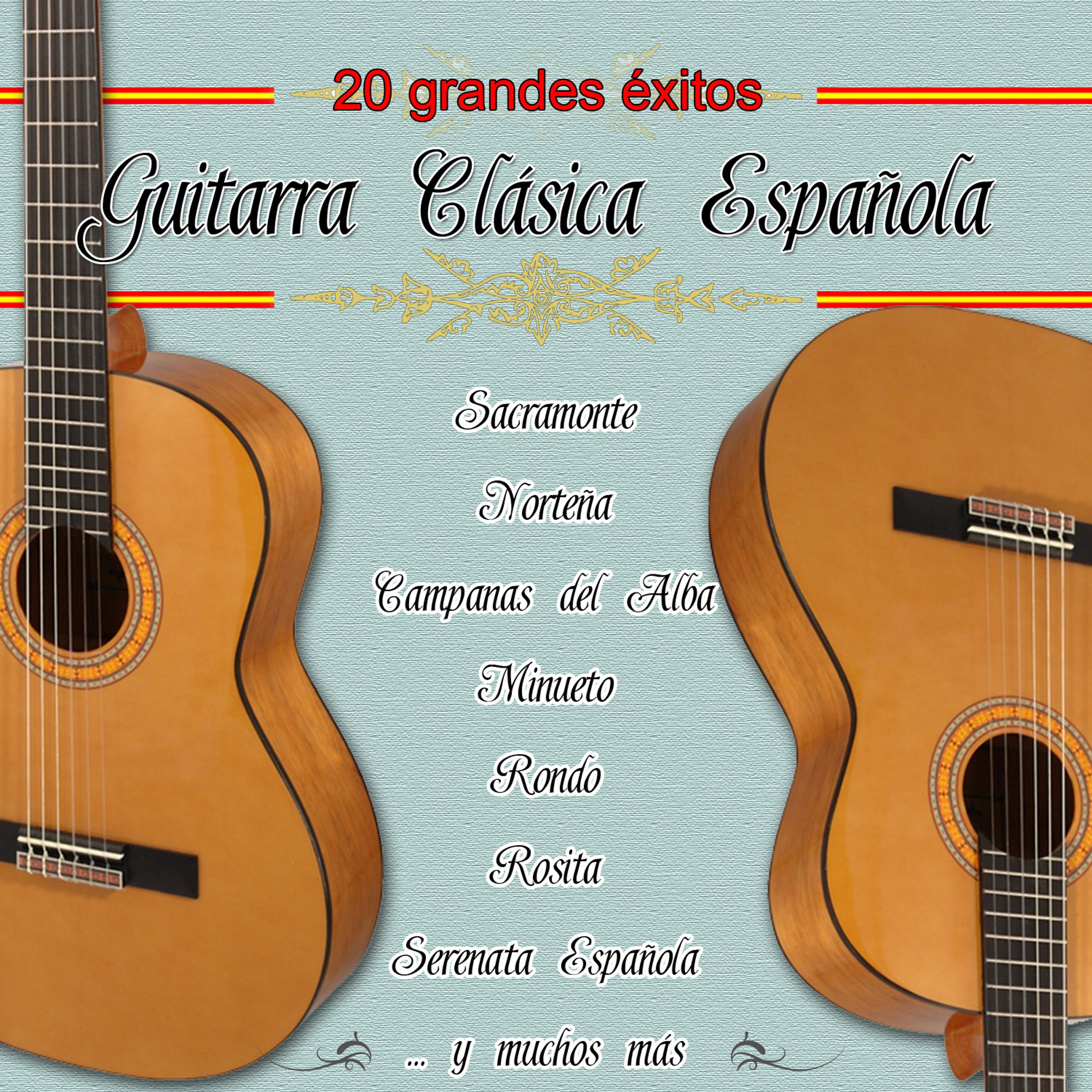 Постер альбома 20 Grandes Exitos Con Guitarra Clasica Española