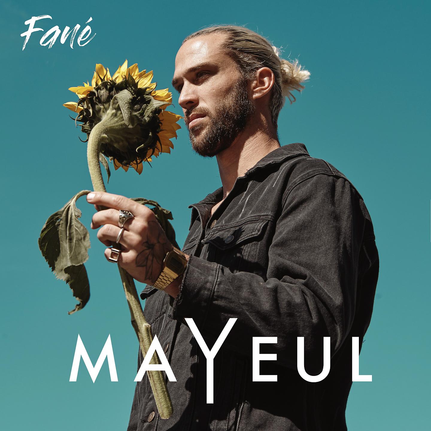 Постер альбома Fané