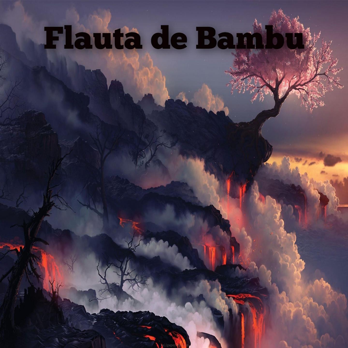 Постер альбома Flauta de Bambu