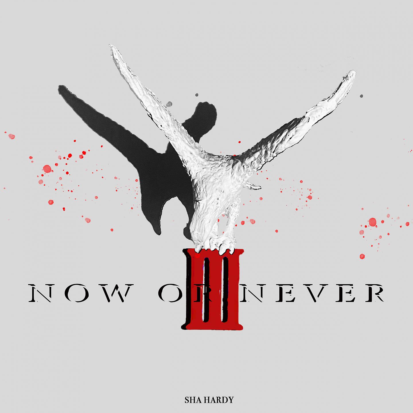 Постер альбома Now or Never 3