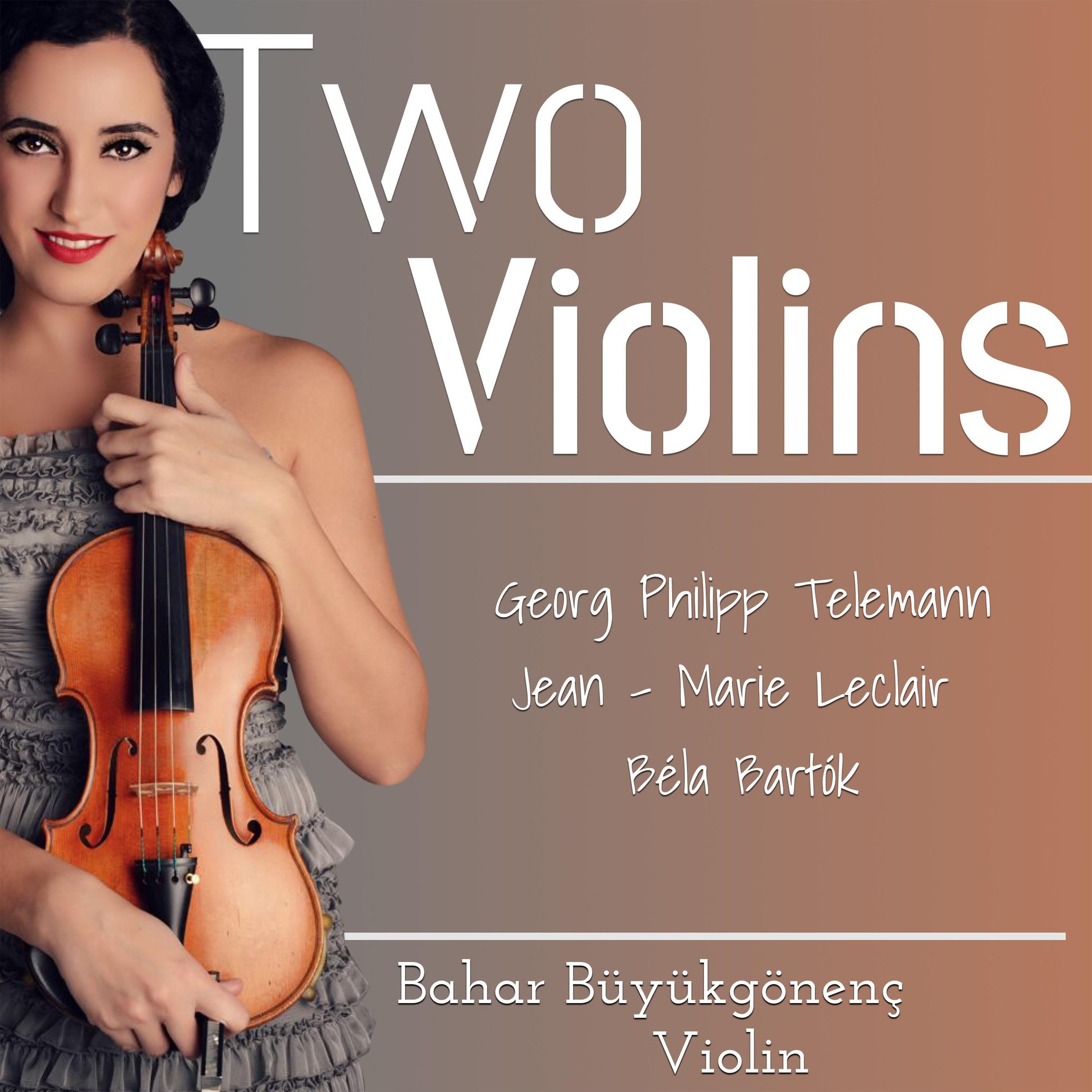 Постер альбома Two Violins