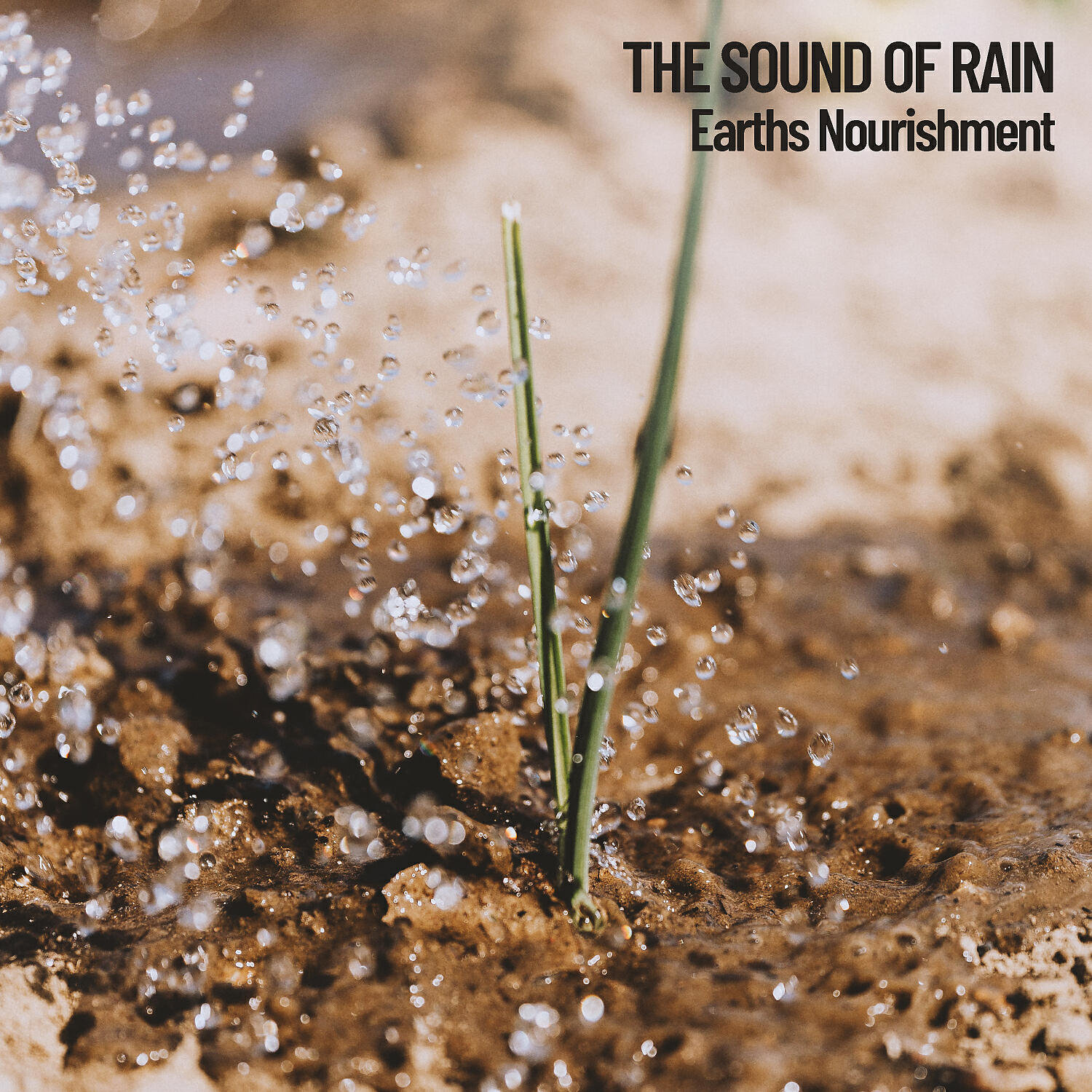Epic Soundscapes - Thunder and Rain