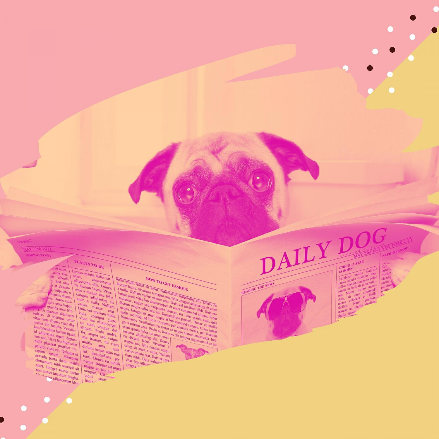 Amazing Doggy Music - Stylish Harps and Guitars - Vibe for Calming Your Dog