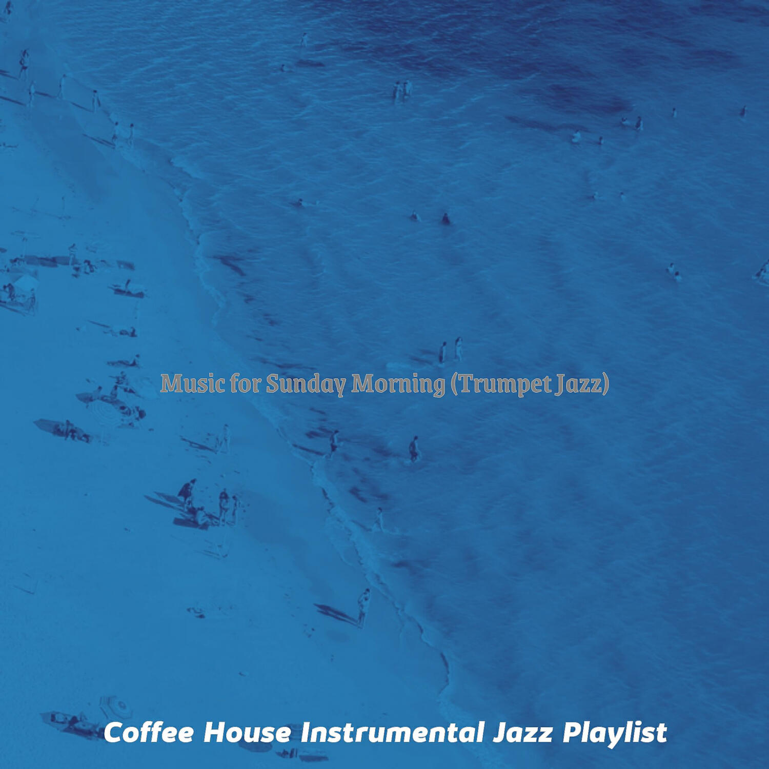 Coffee House Instrumental Jazz Playlist - Hypnotic Weekends