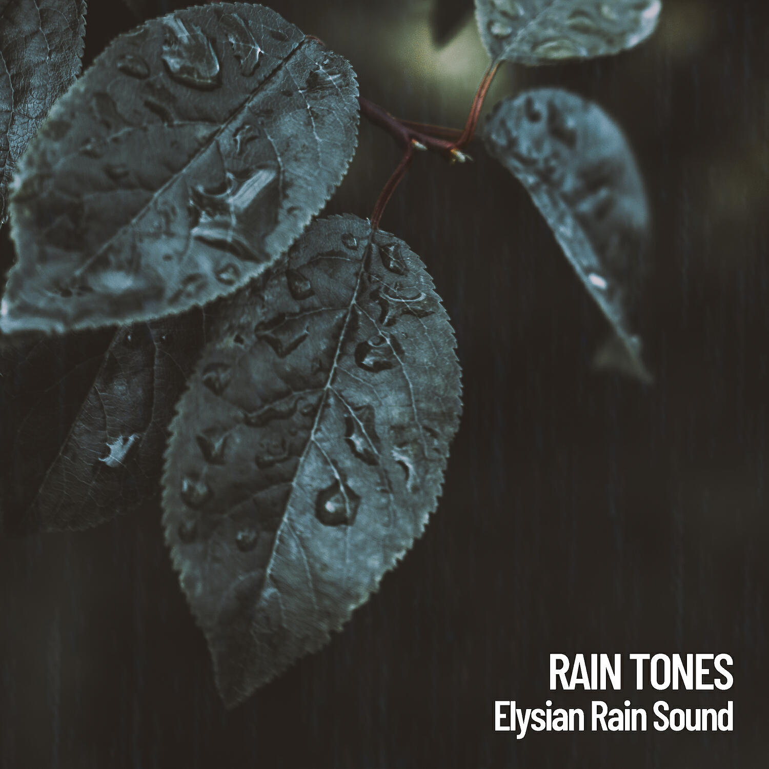 Weather - Mind Weather Day