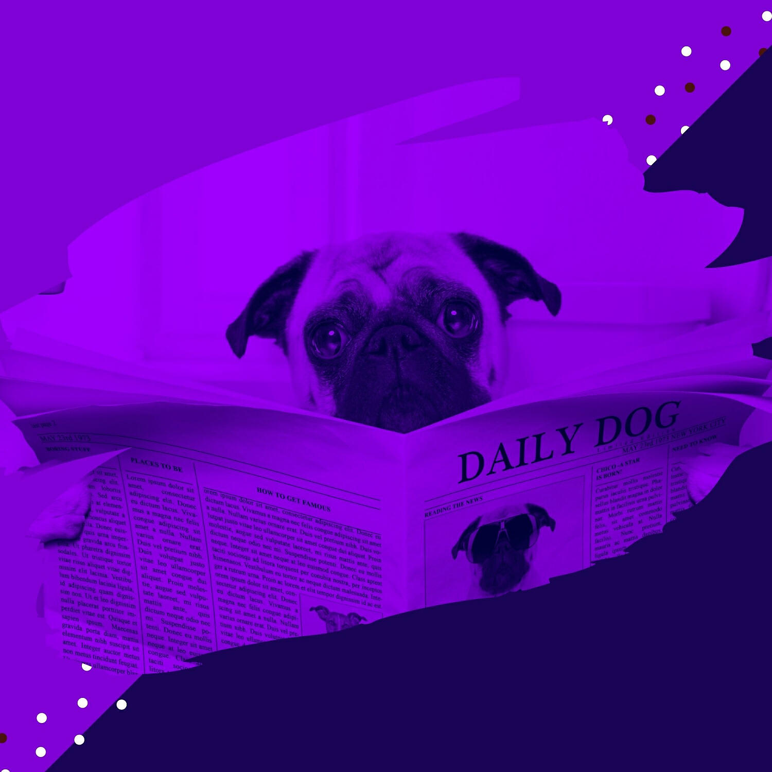 Relaxing Dog Music Prime - Harp Music Soundtrack for Resting Pups