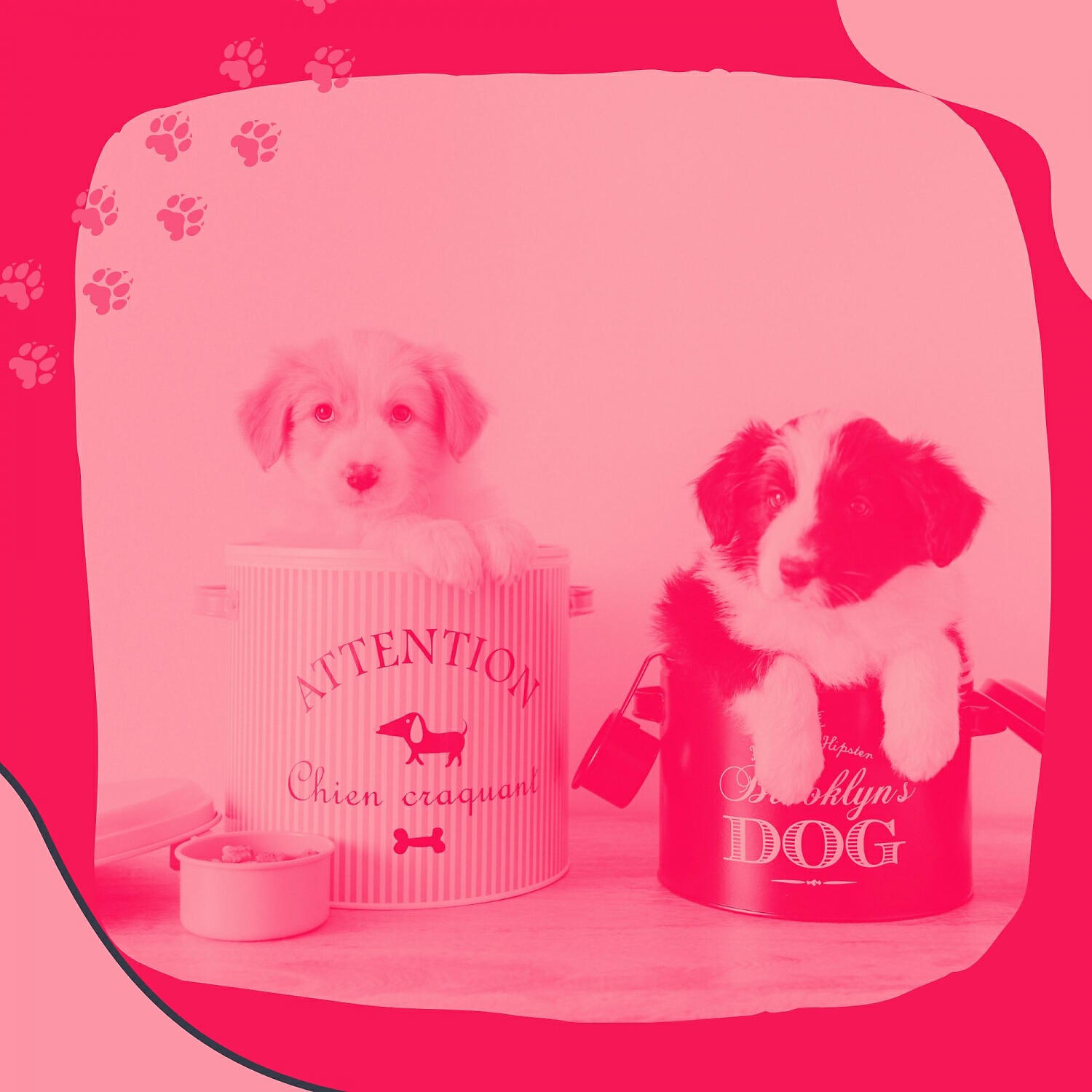 Doggy Music Project - Terrific Backdrops for Calming Dogs
