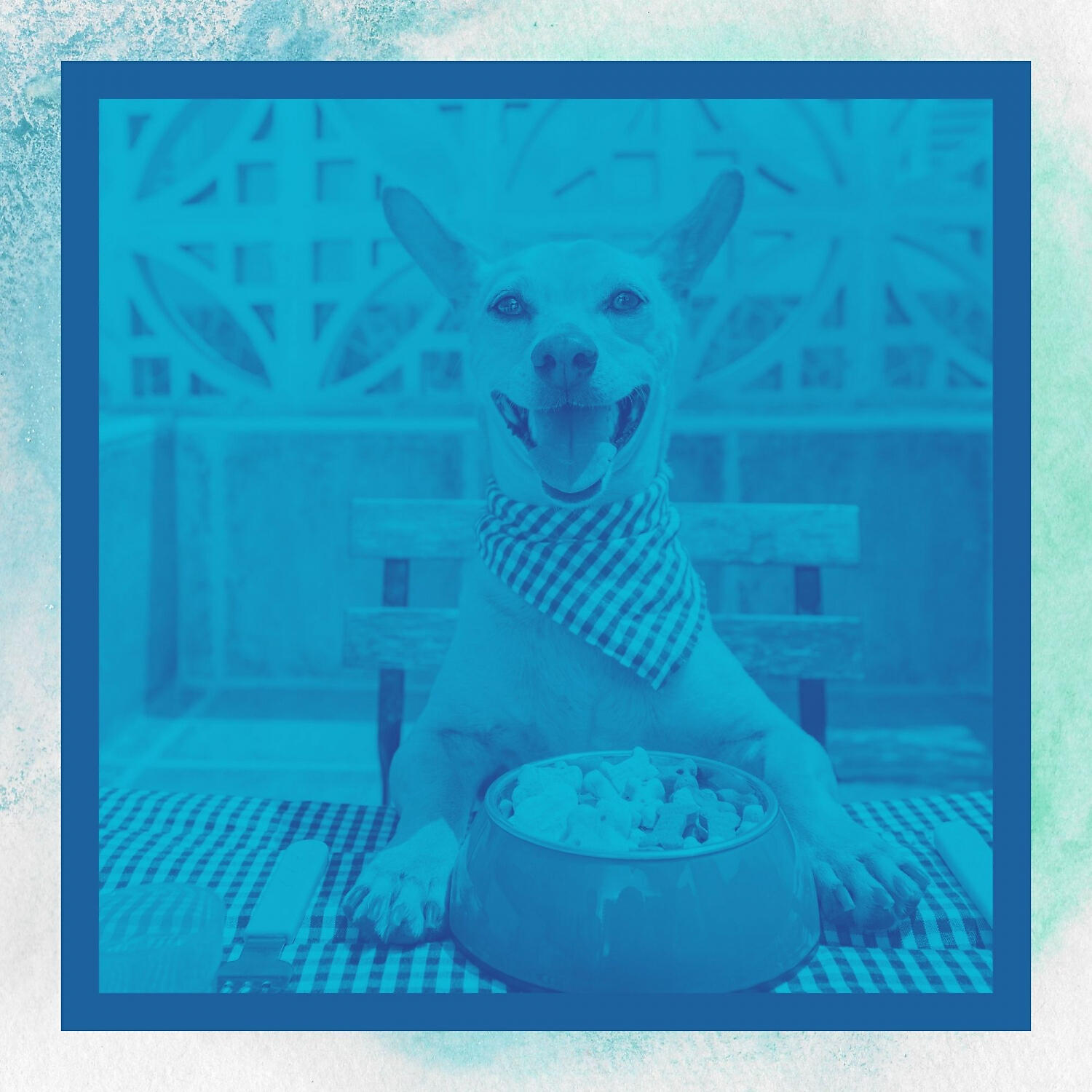 Dog Jazz Playlist - Chilled Music for Calming Puppies