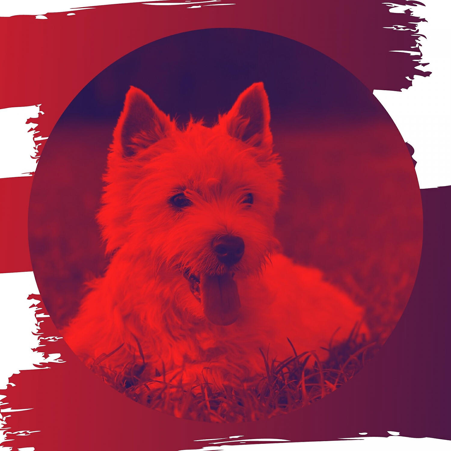 Dog Chill Out Music - Friendly Music for Doggy Naptime