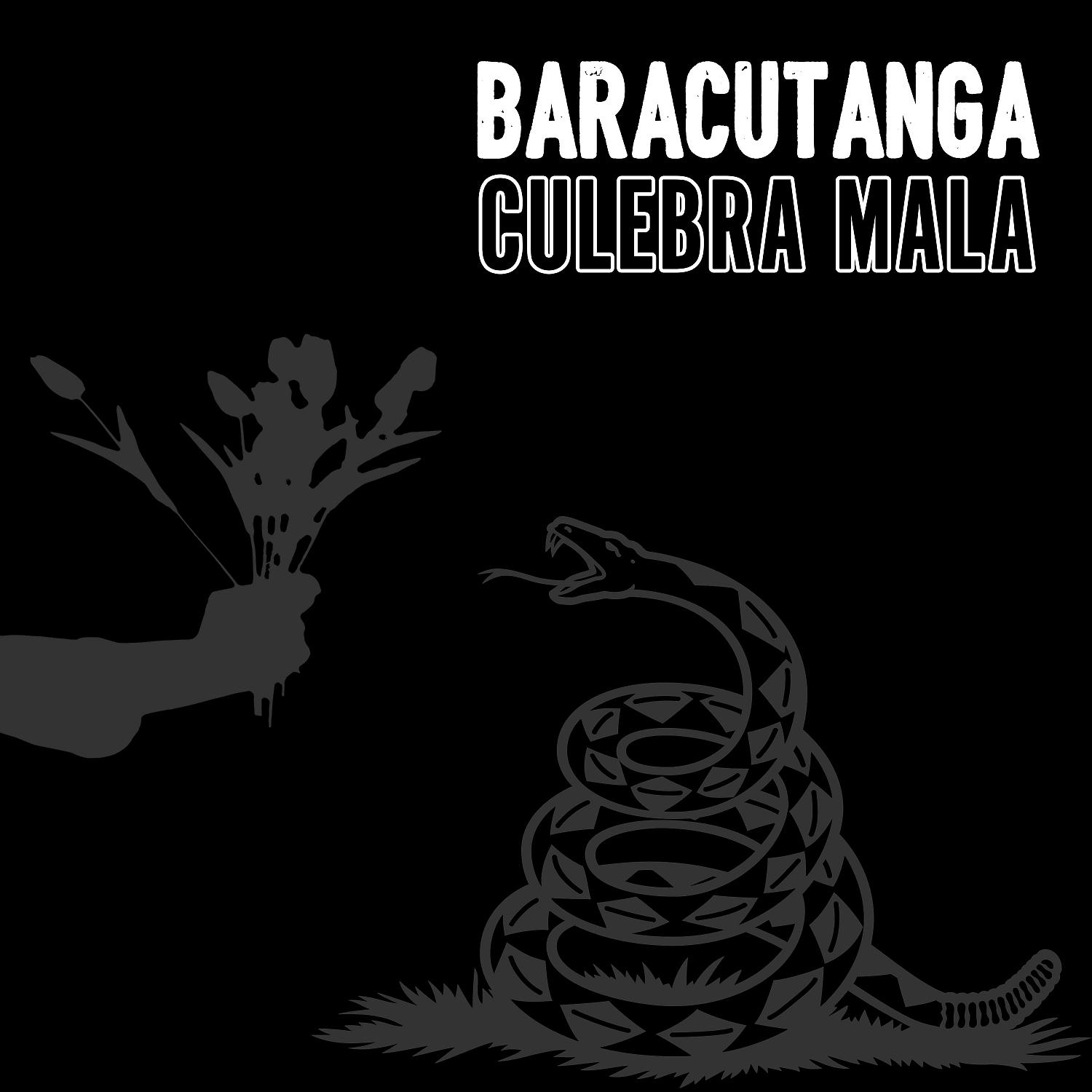 Постер альбома Culebra Mala (feat. Javier Ktumba)