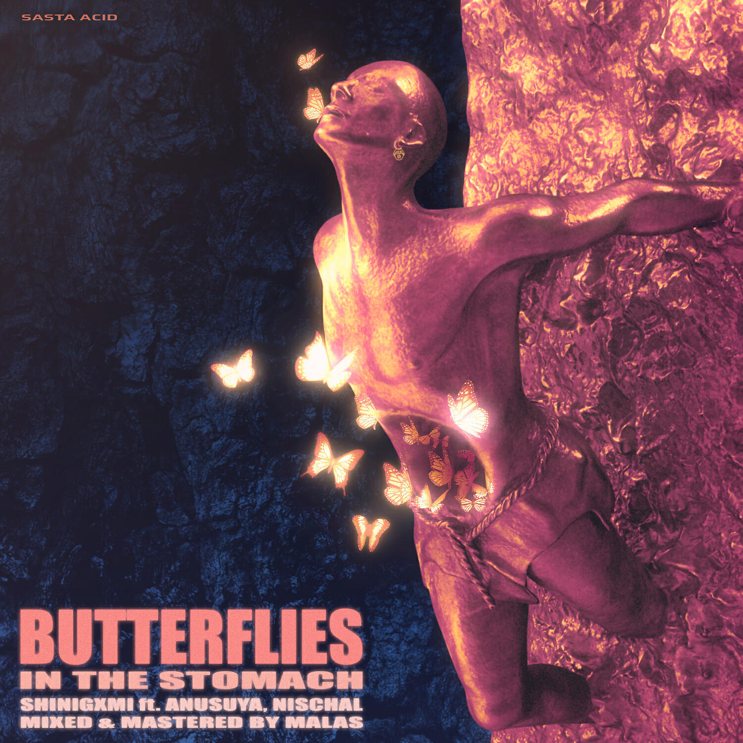 shinigxmi - BUTTERFLIES IN THE STOMACH (feat. Anusuya & Nischal Chaubey)