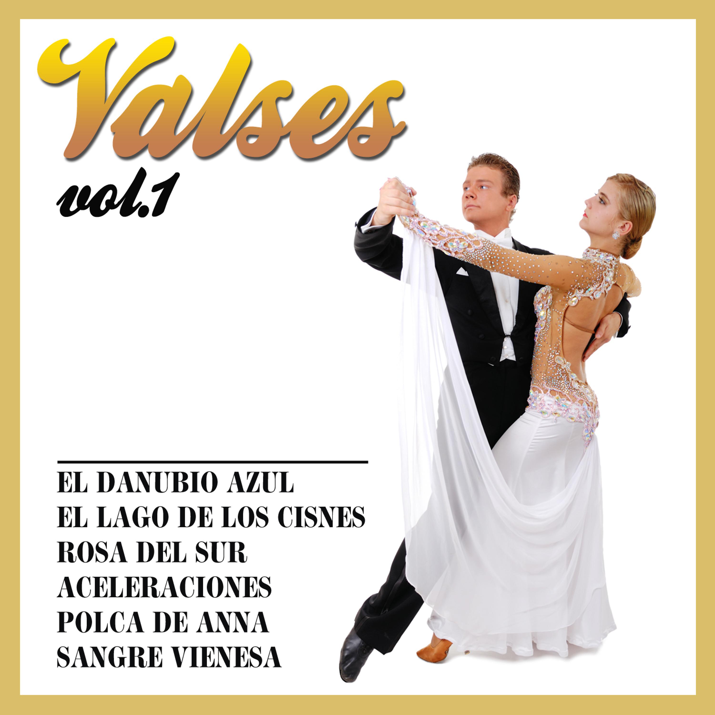 Постер альбома Valses  Vol. 1