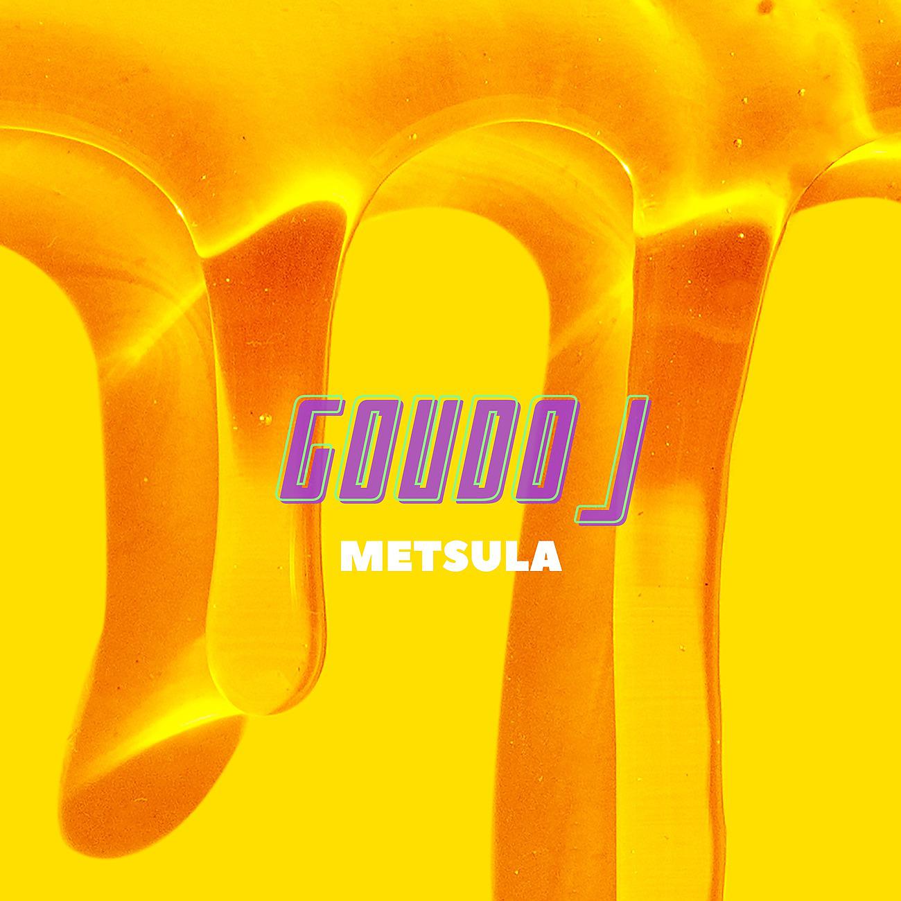 Постер альбома Metsula
