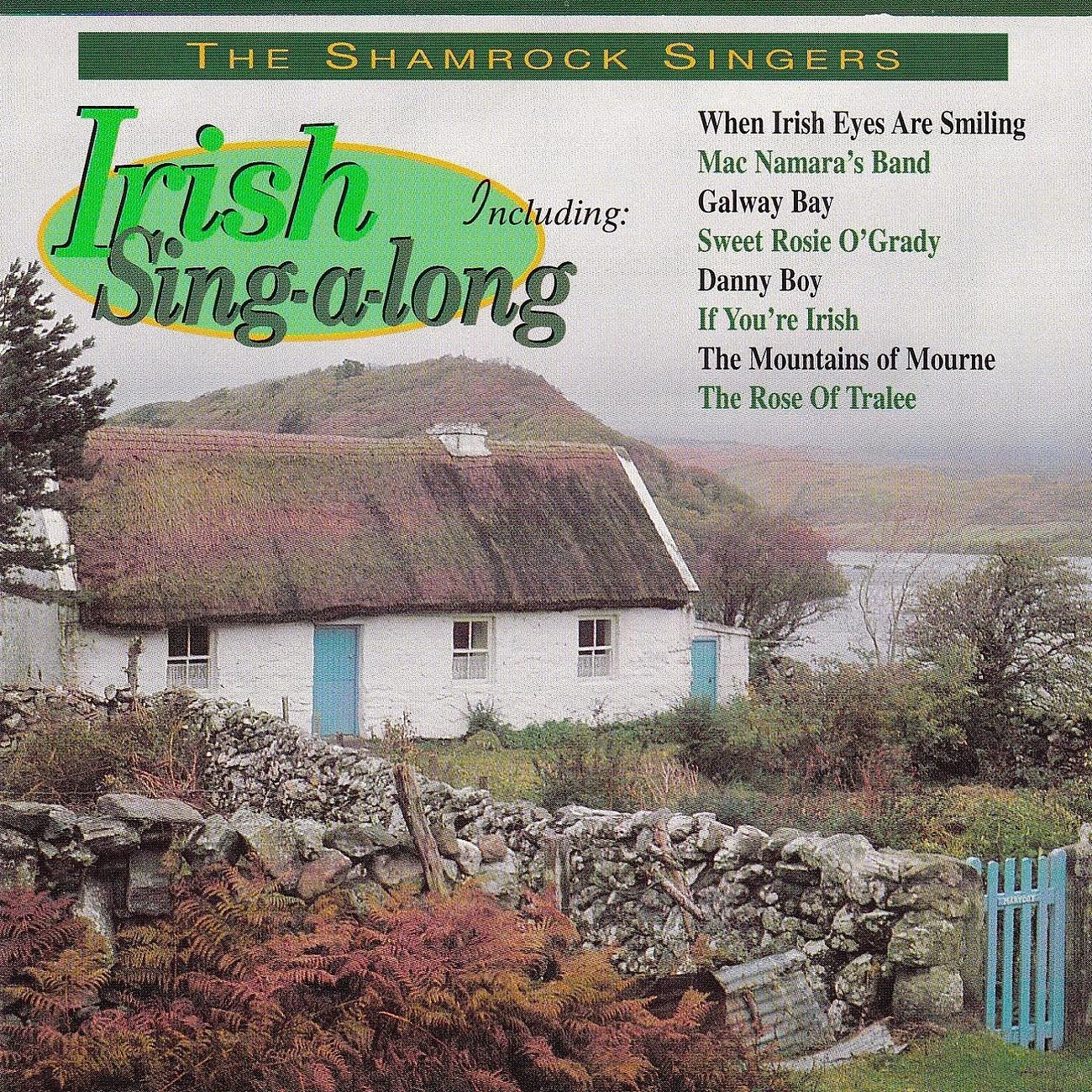 Постер альбома Irish Sing-Along