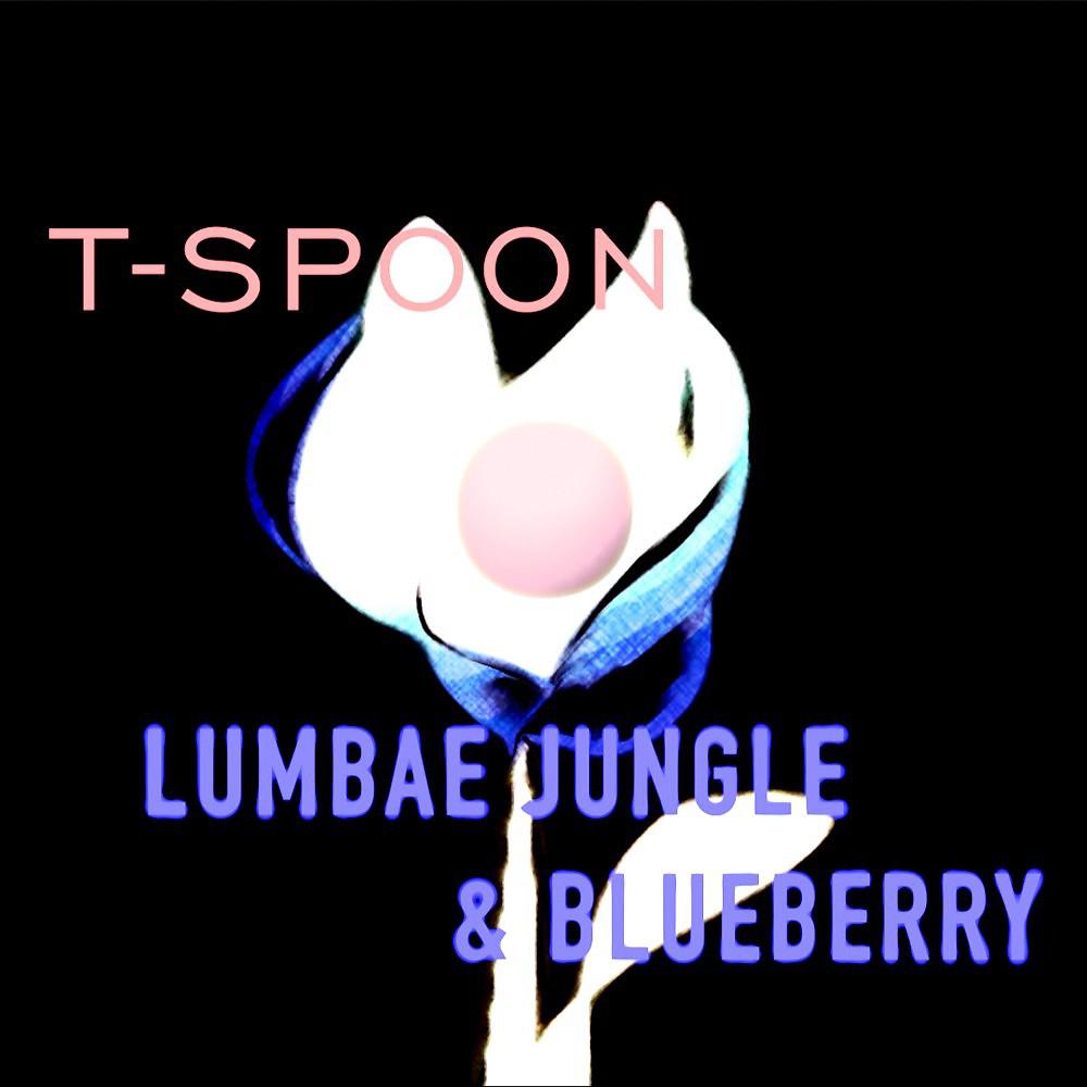 Постер альбома T-Spoon