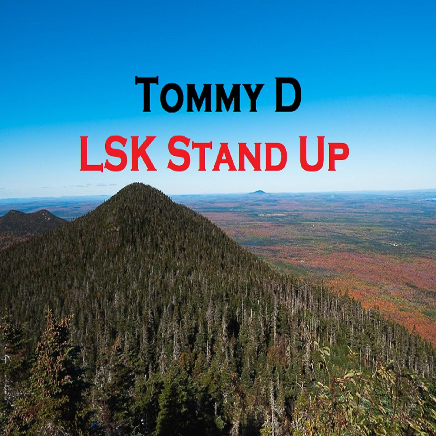 Постер альбома Lsk Stand Up
