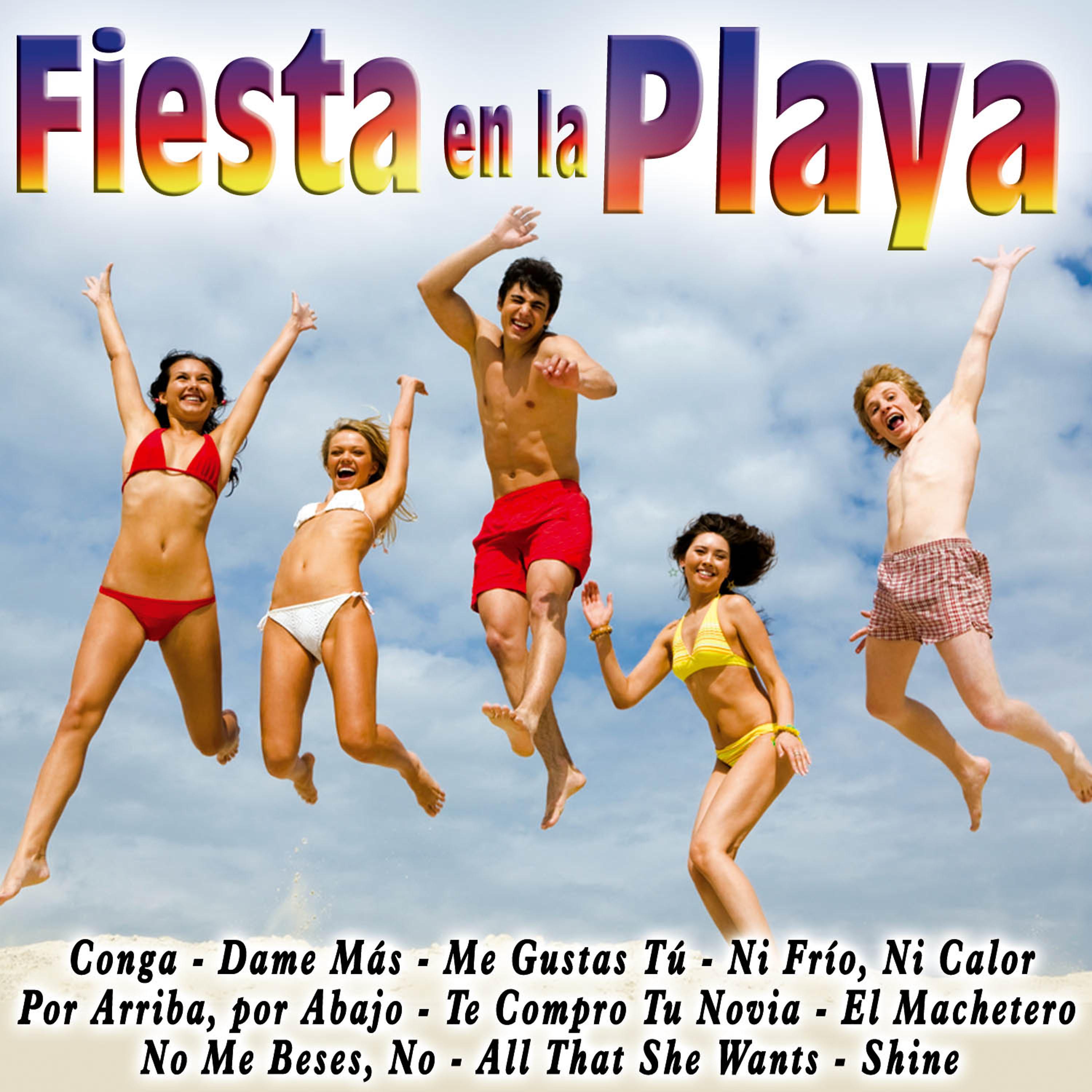 Постер альбома Fiesta en la Playa