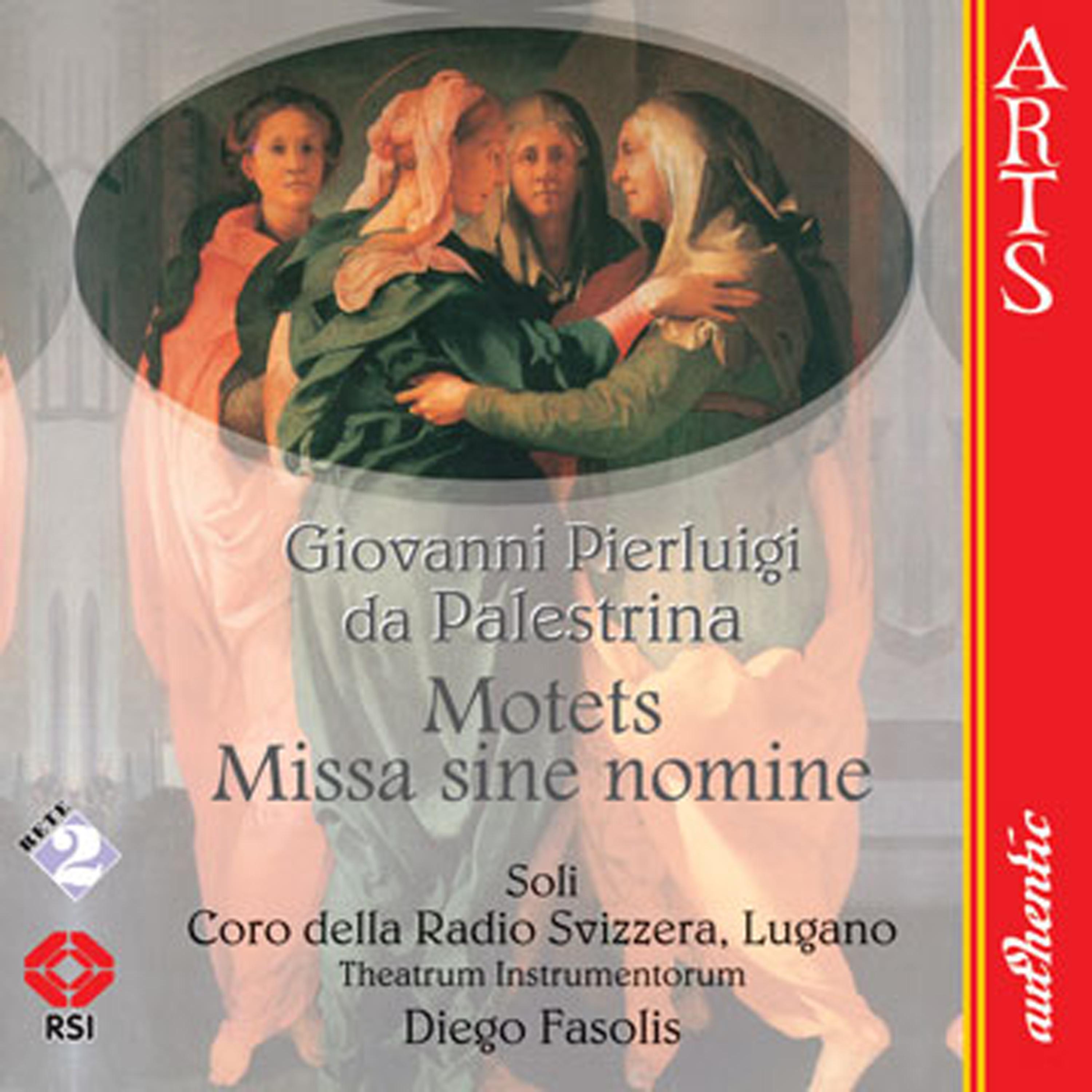 Постер альбома Palestrina: Motets and Missa sine nomine