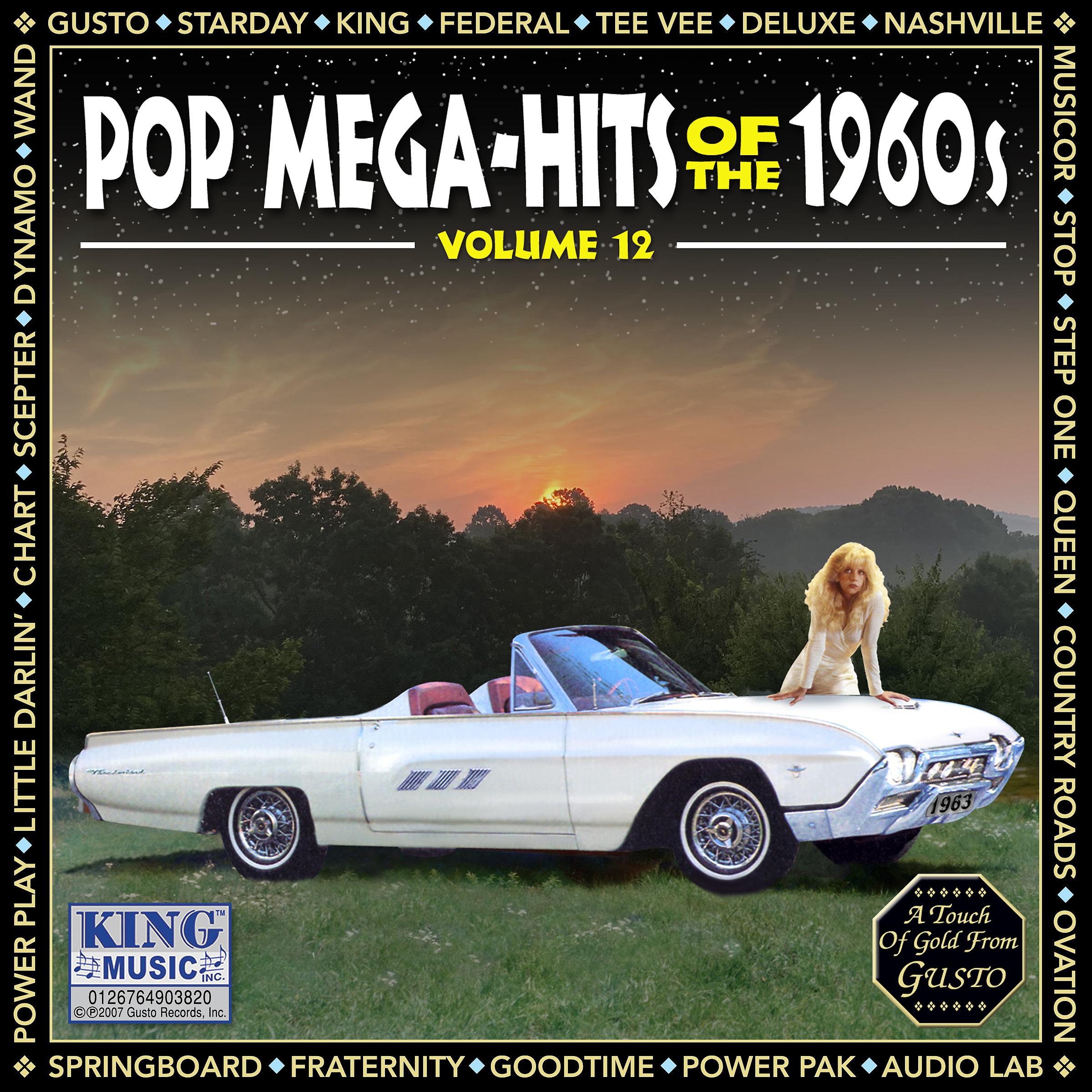 Постер альбома Pop Megahits Of The 1960's Volume 12