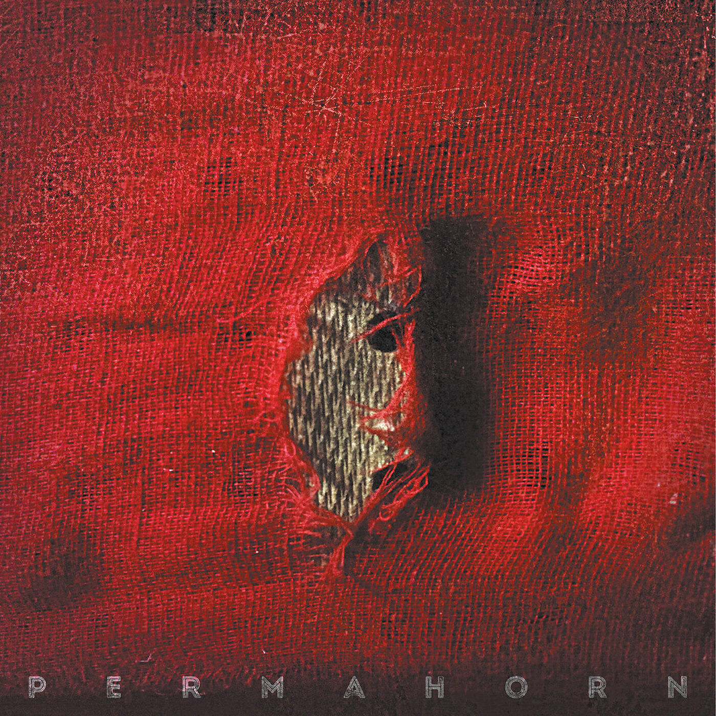 Permahorn - Lynch Mob