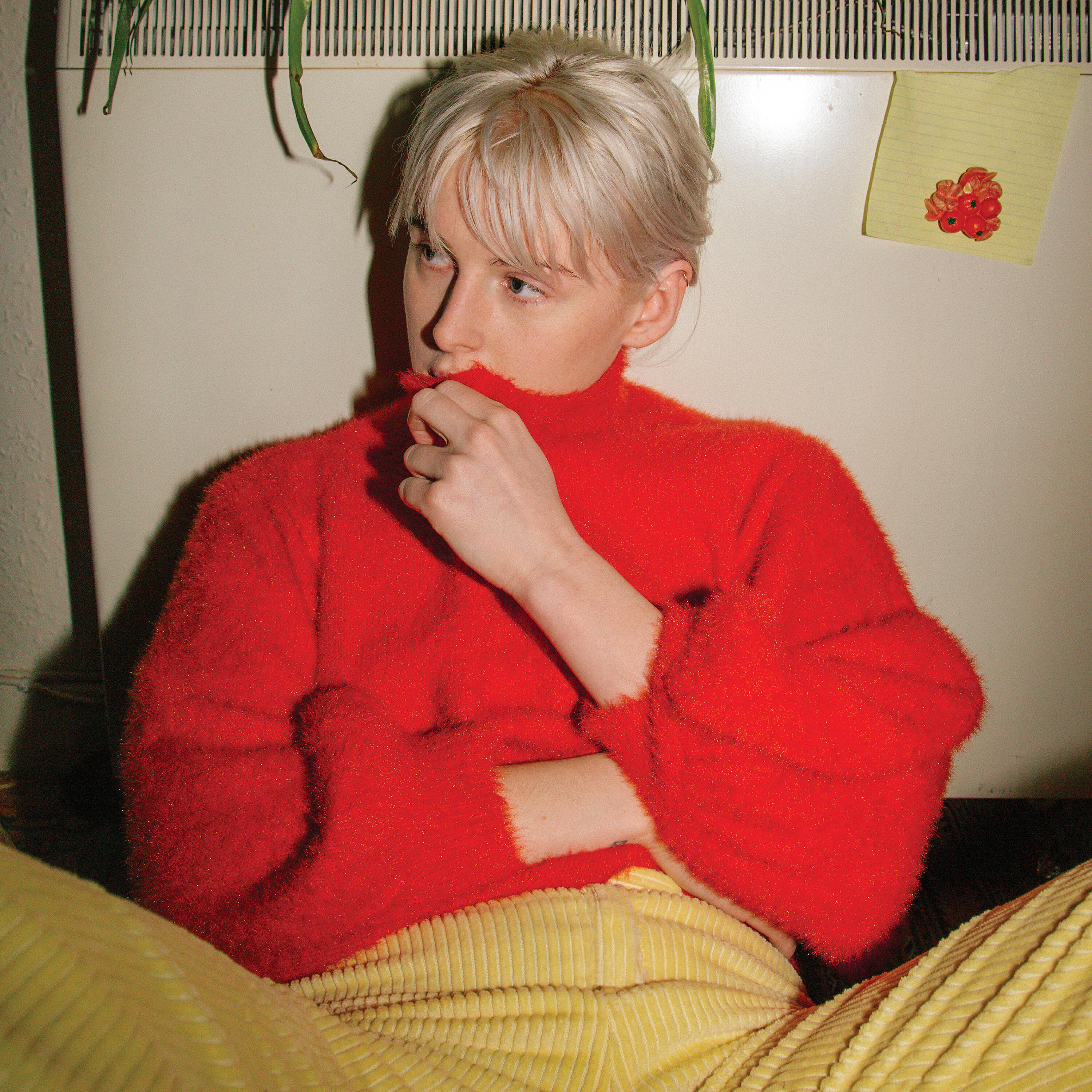 Fenne Lily - Laundry and Jet Lag