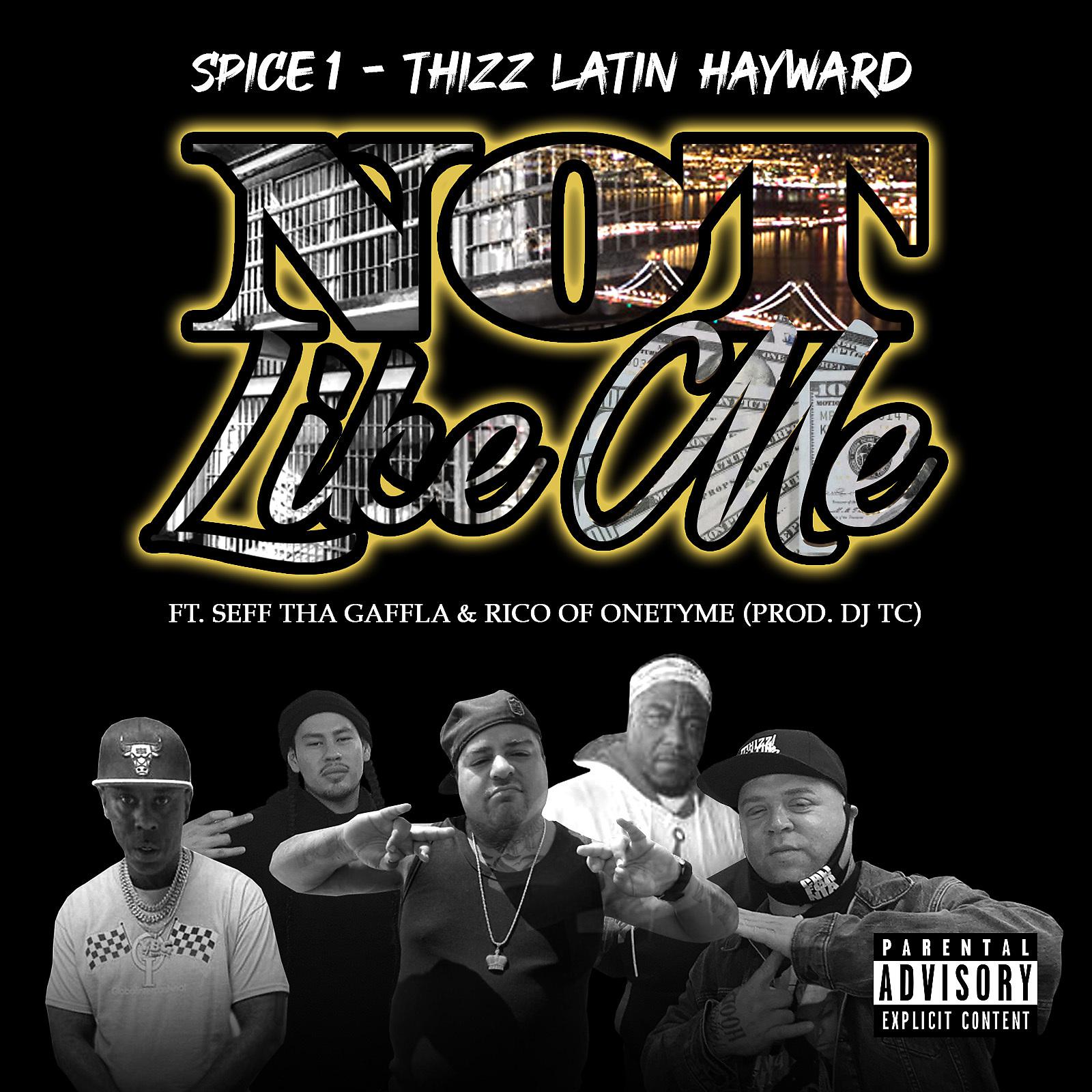 Постер альбома Not Like Me (feat. Seff Tha Gaffla & Rico)