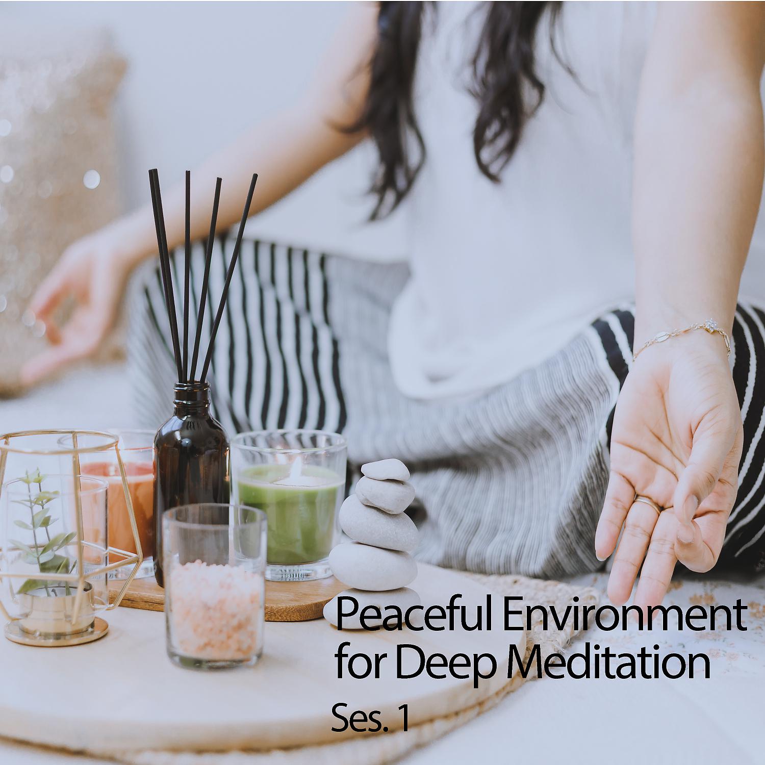Постер альбома Peaceful Environment for Deep Meditation Ses. 1
