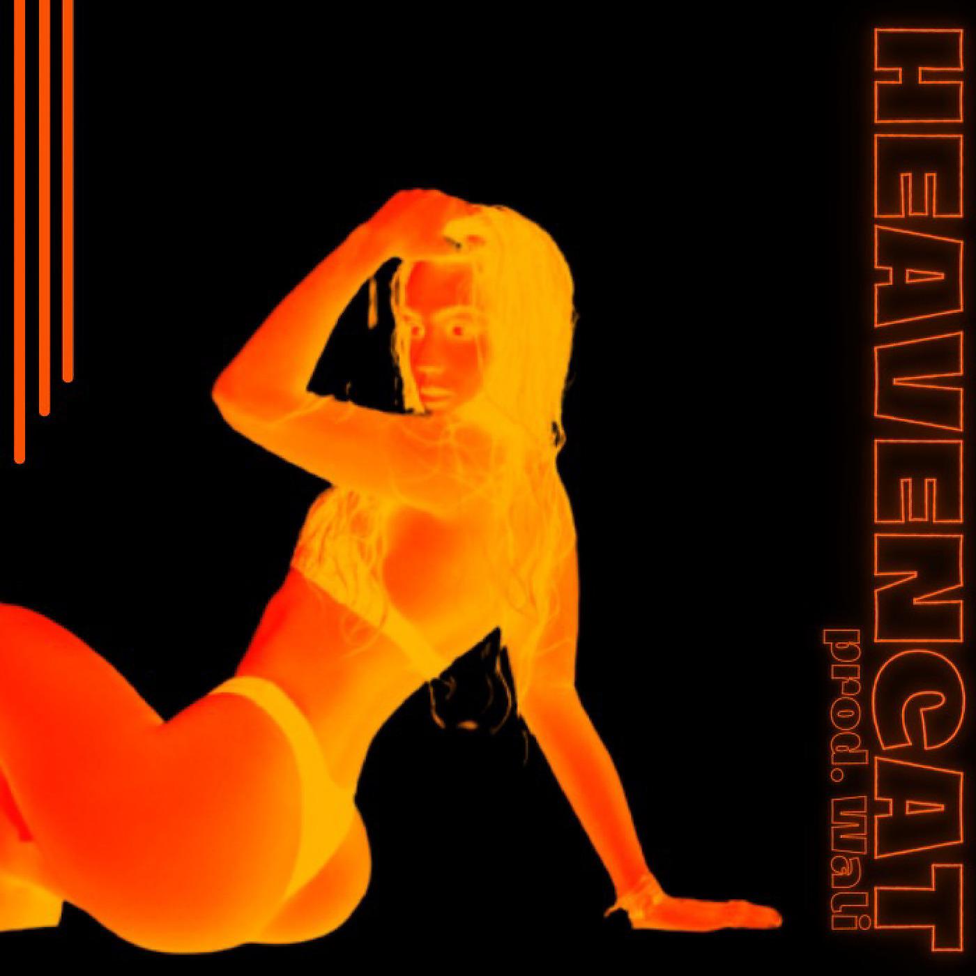 Постер альбома Heavencat