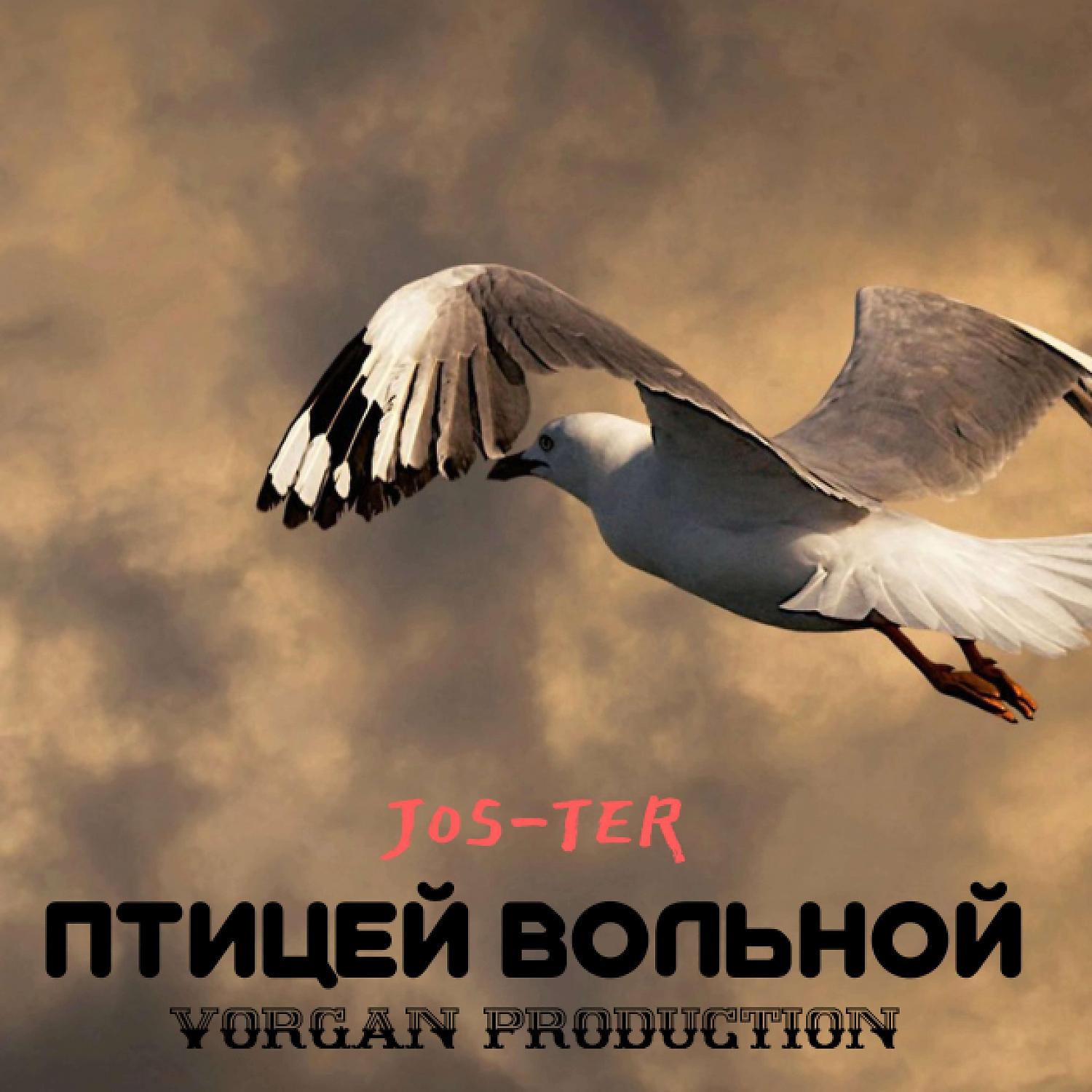 Постер альбома Птицей Вольной