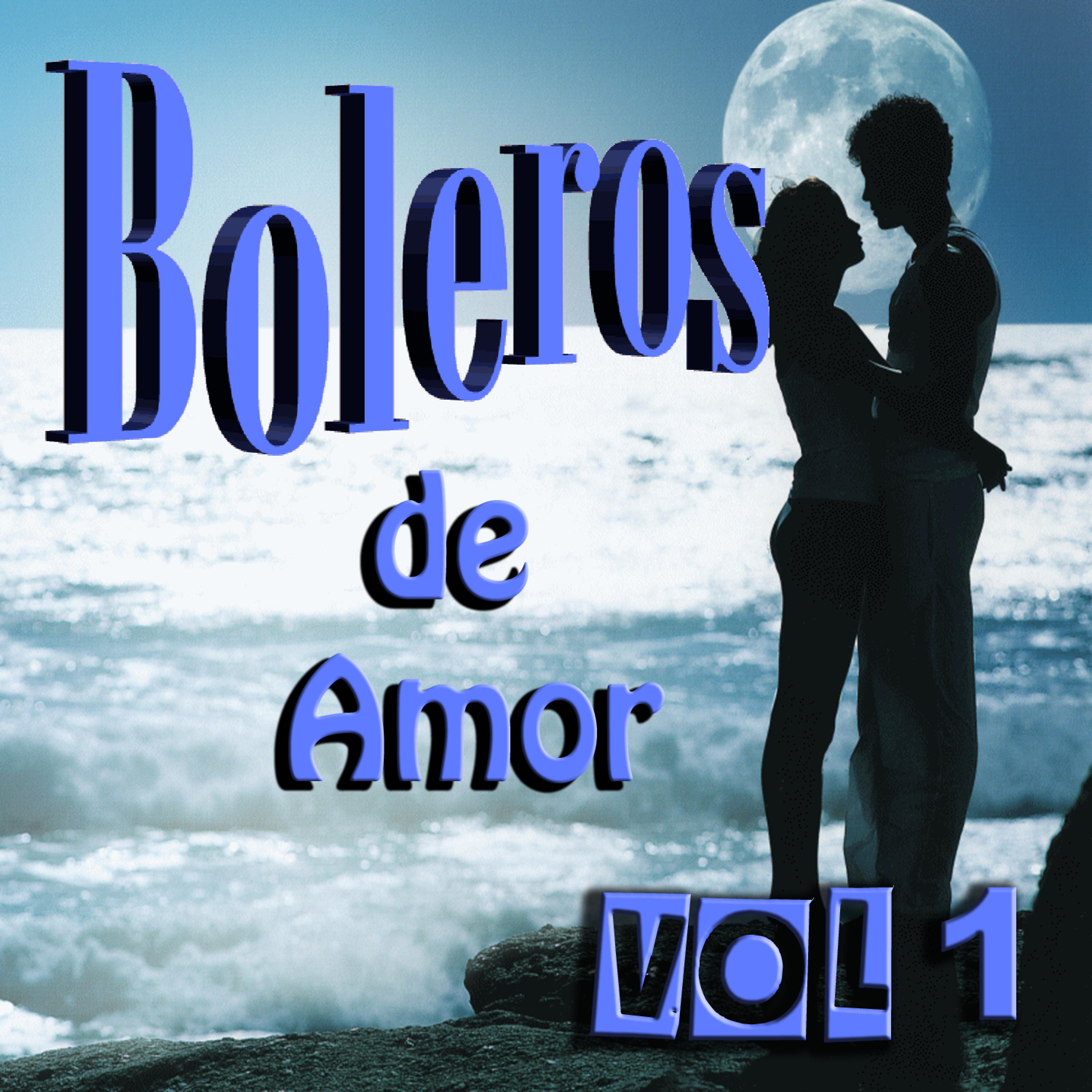 Постер альбома Boleros de Amor Vol 1