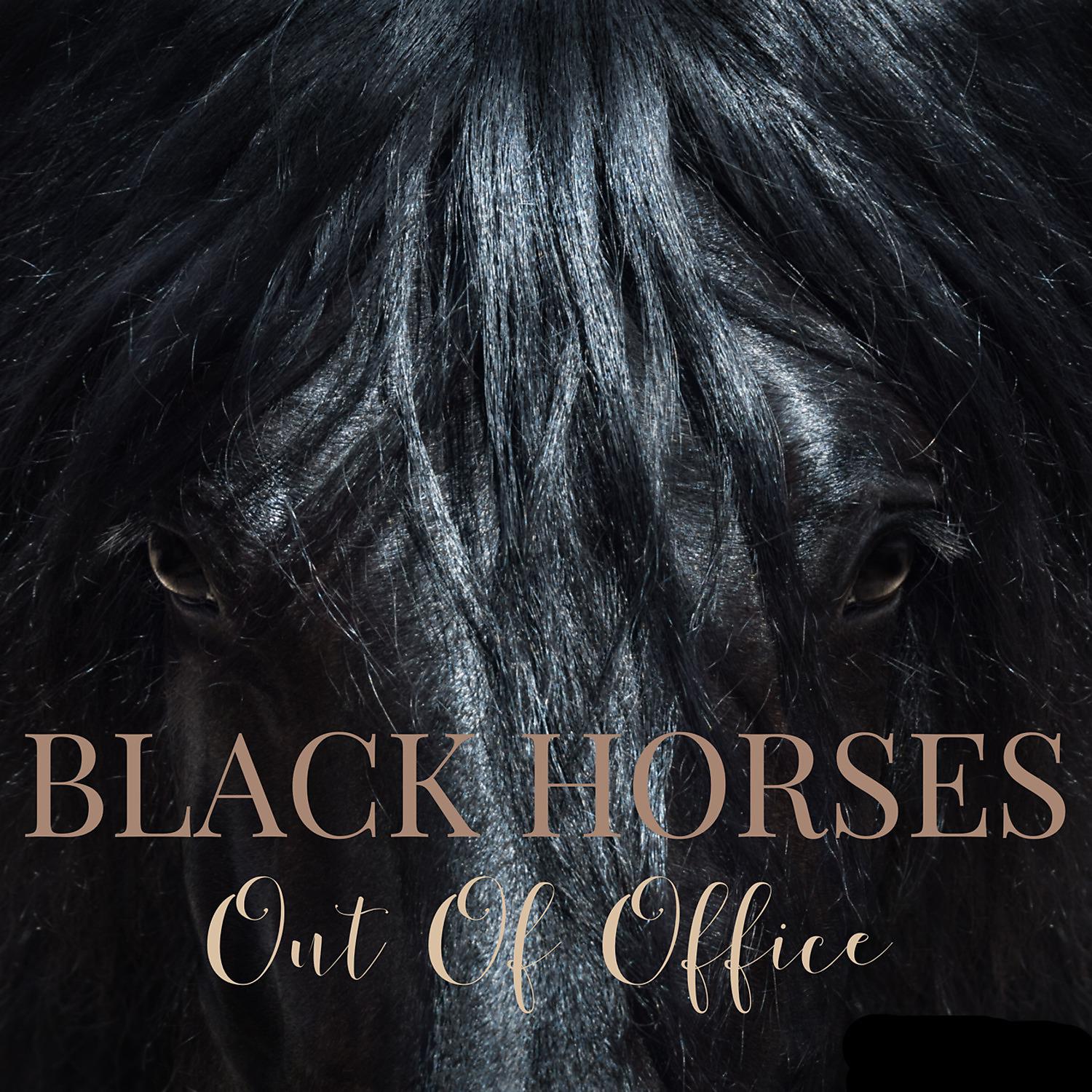 Постер альбома Black Horses