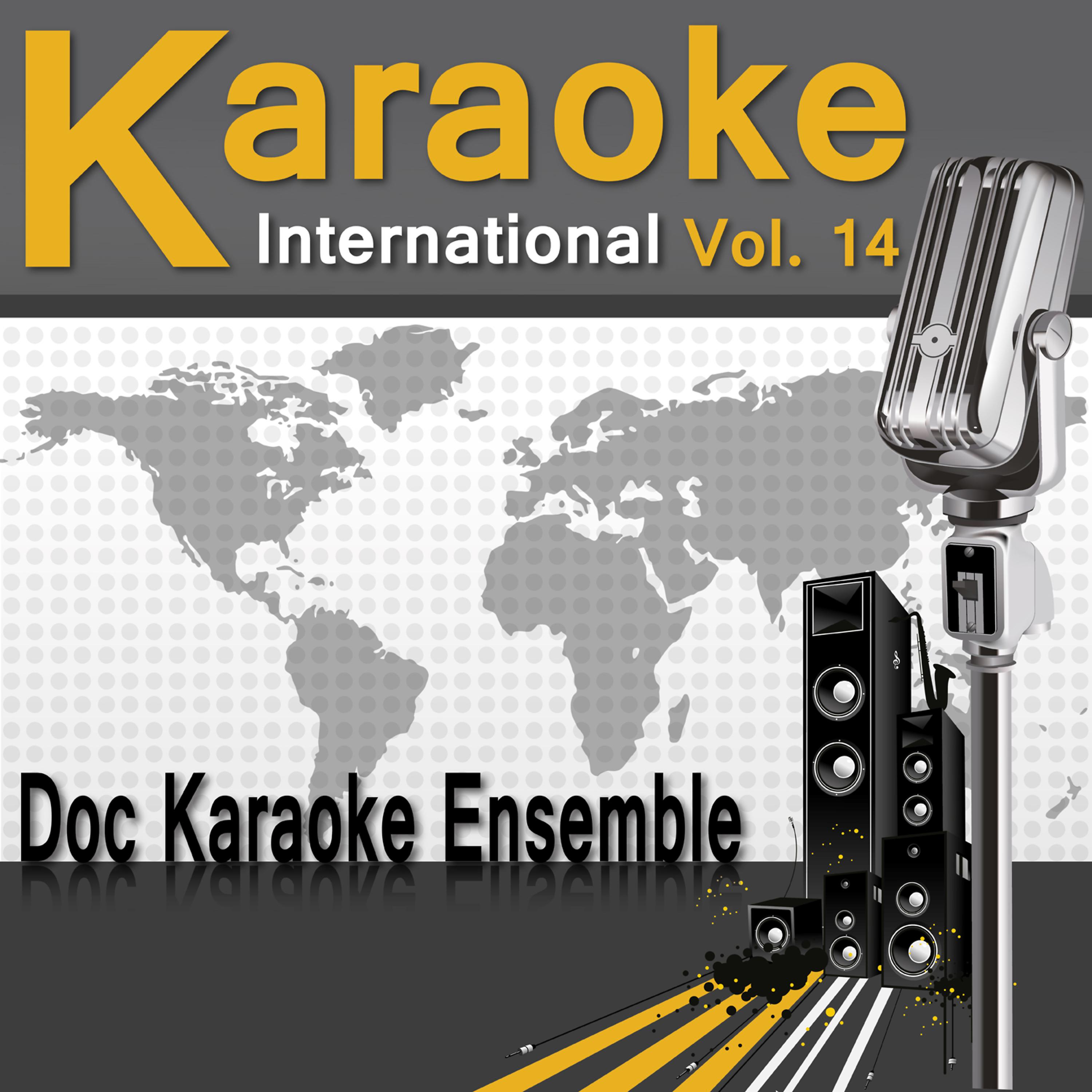 Постер альбома Karaoke International Vol. 14