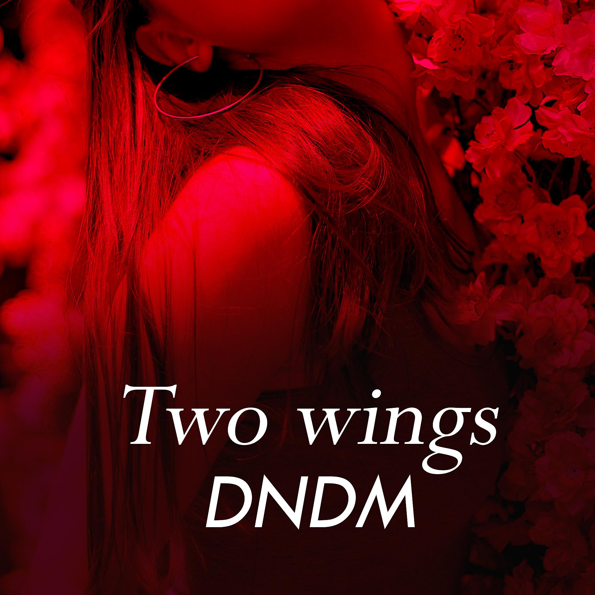 Постер альбома Two wings