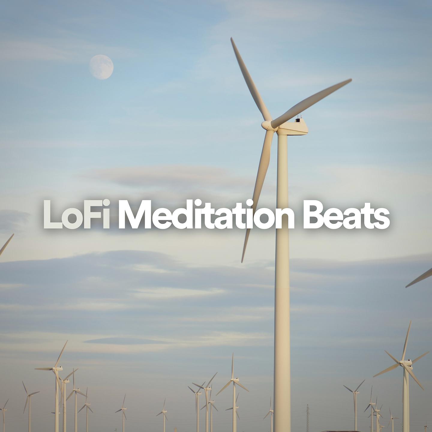 Постер альбома Lofi Meditation Beats