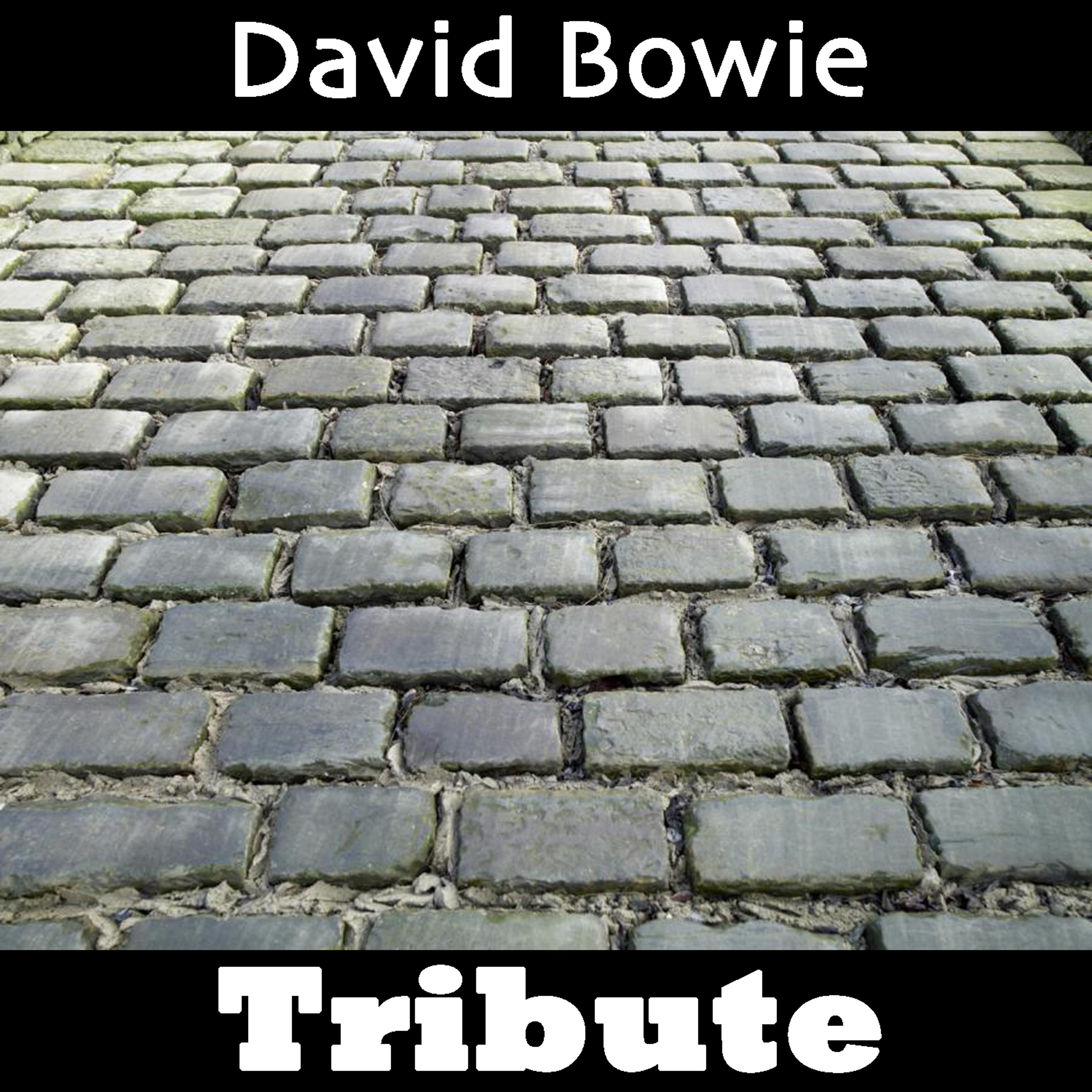 Постер альбома Space Oddity: Tribute To David Bowie Part 2
